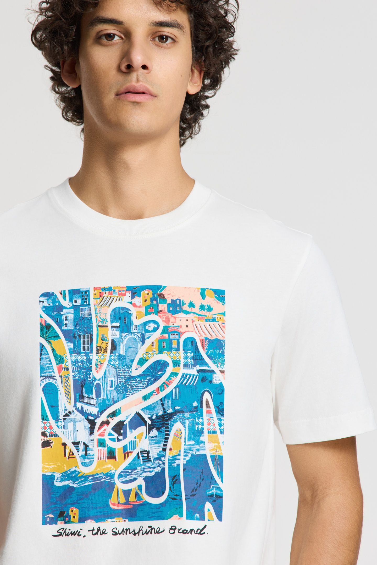 LIAM REGULAR T-SHIRT SHIWI ISLAND BLOCK WHITE 2