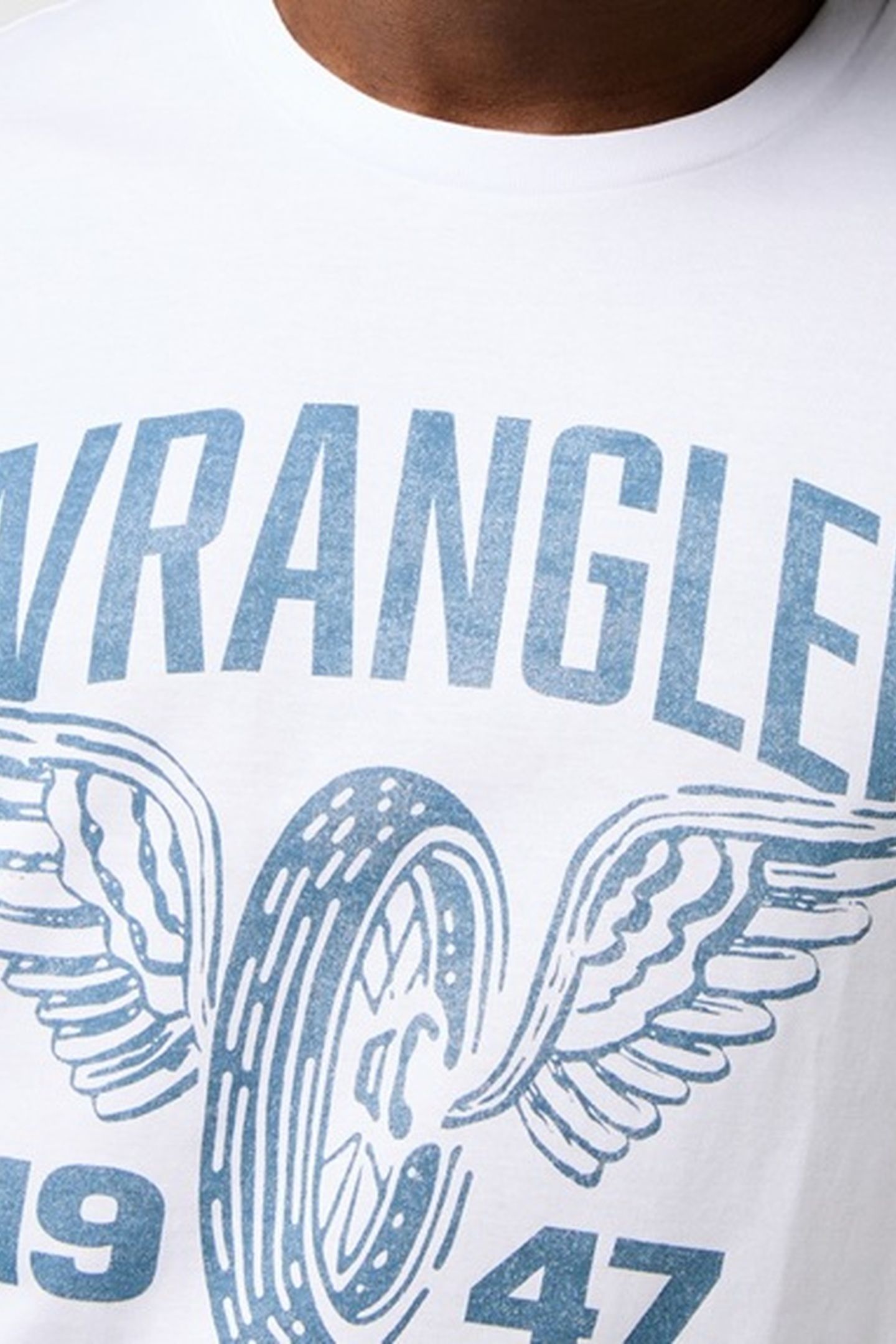 AMERICANA TEE WORN WHITE 4