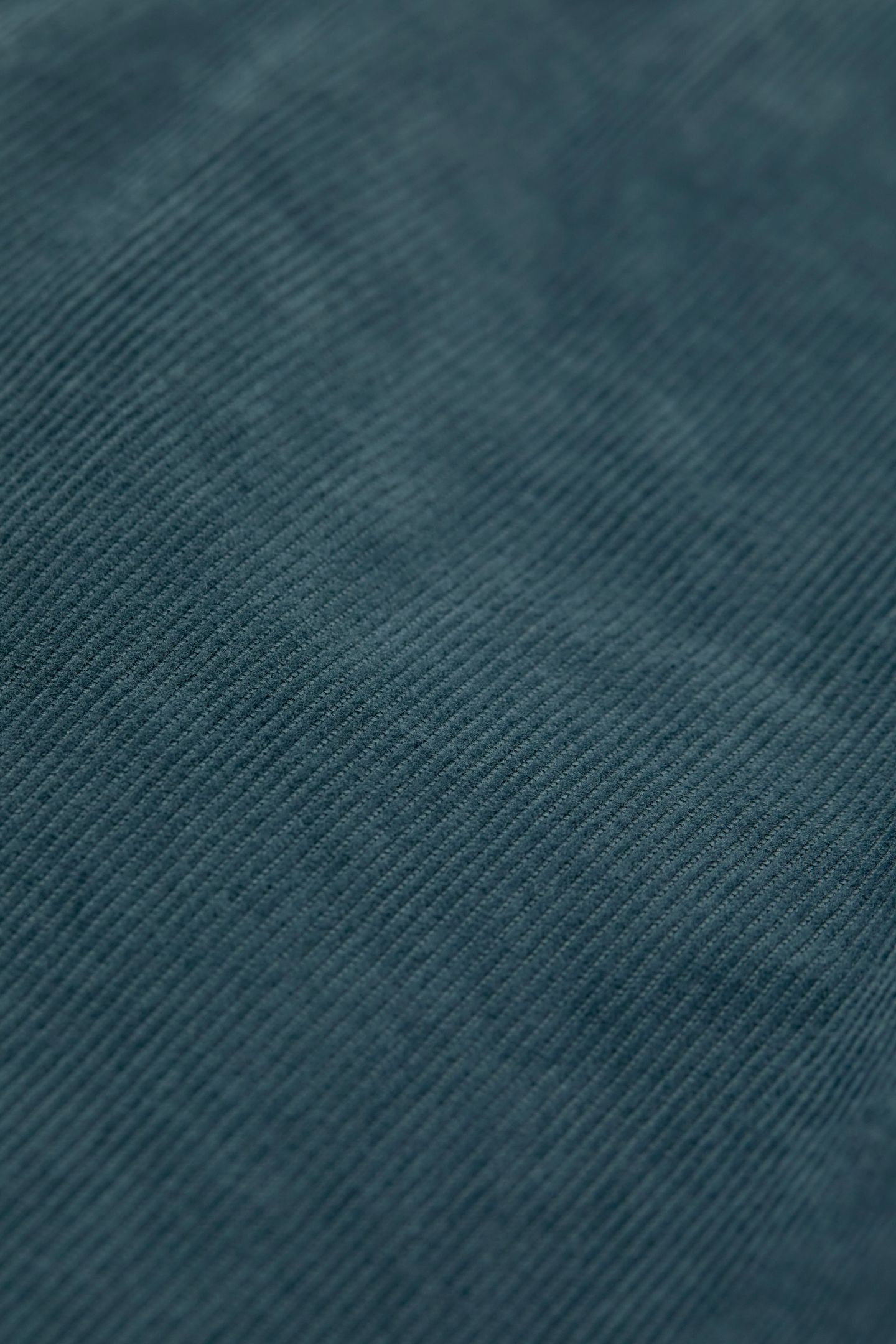 WHARTON PANTS PINI GREEN 7