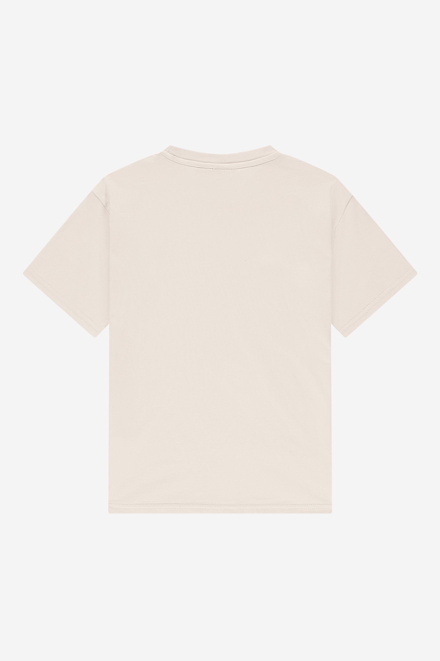 AACE T-SHIRT WOOD ASH 3
