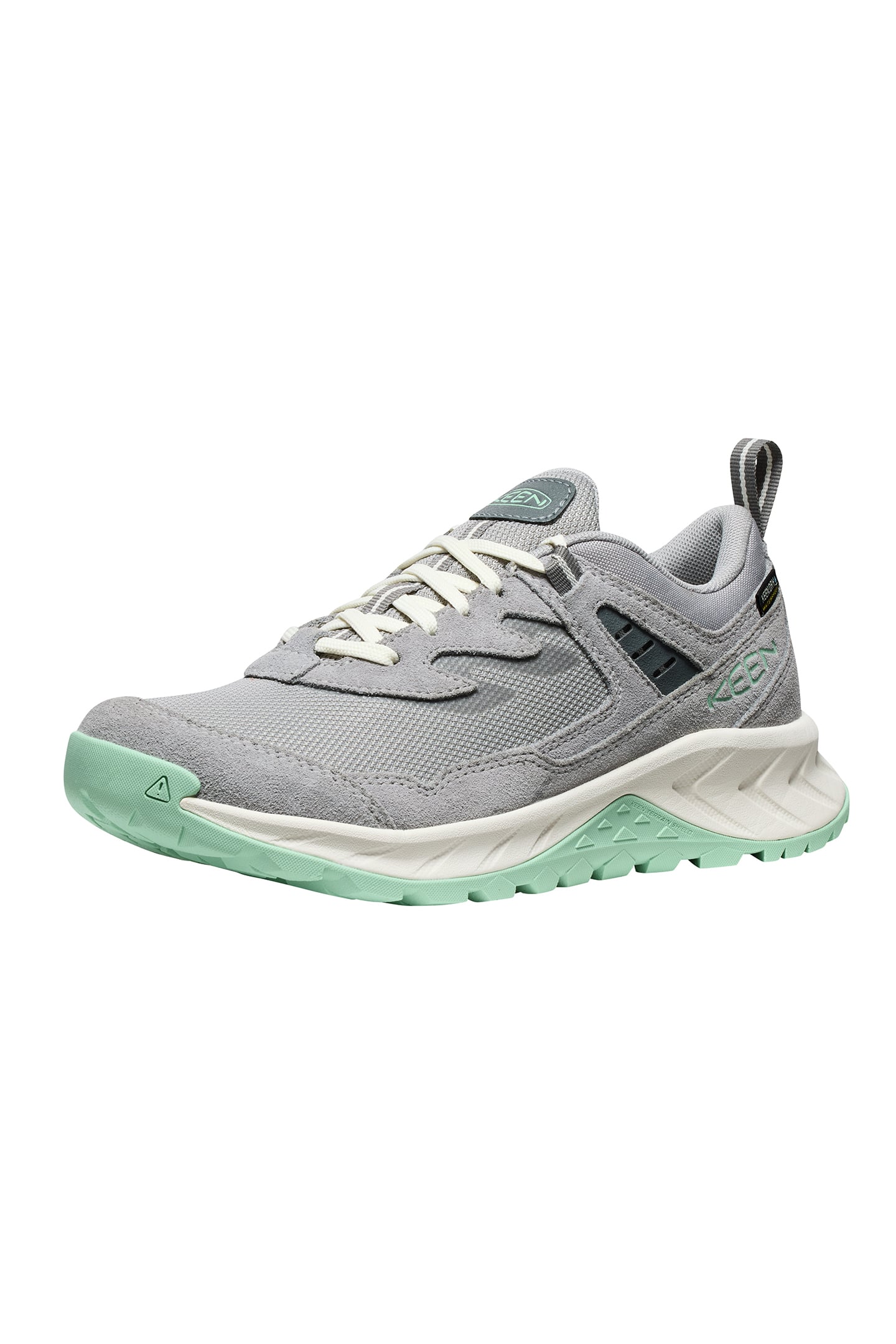 HIGHTRAIL WP ALLOY/LICHEN 2