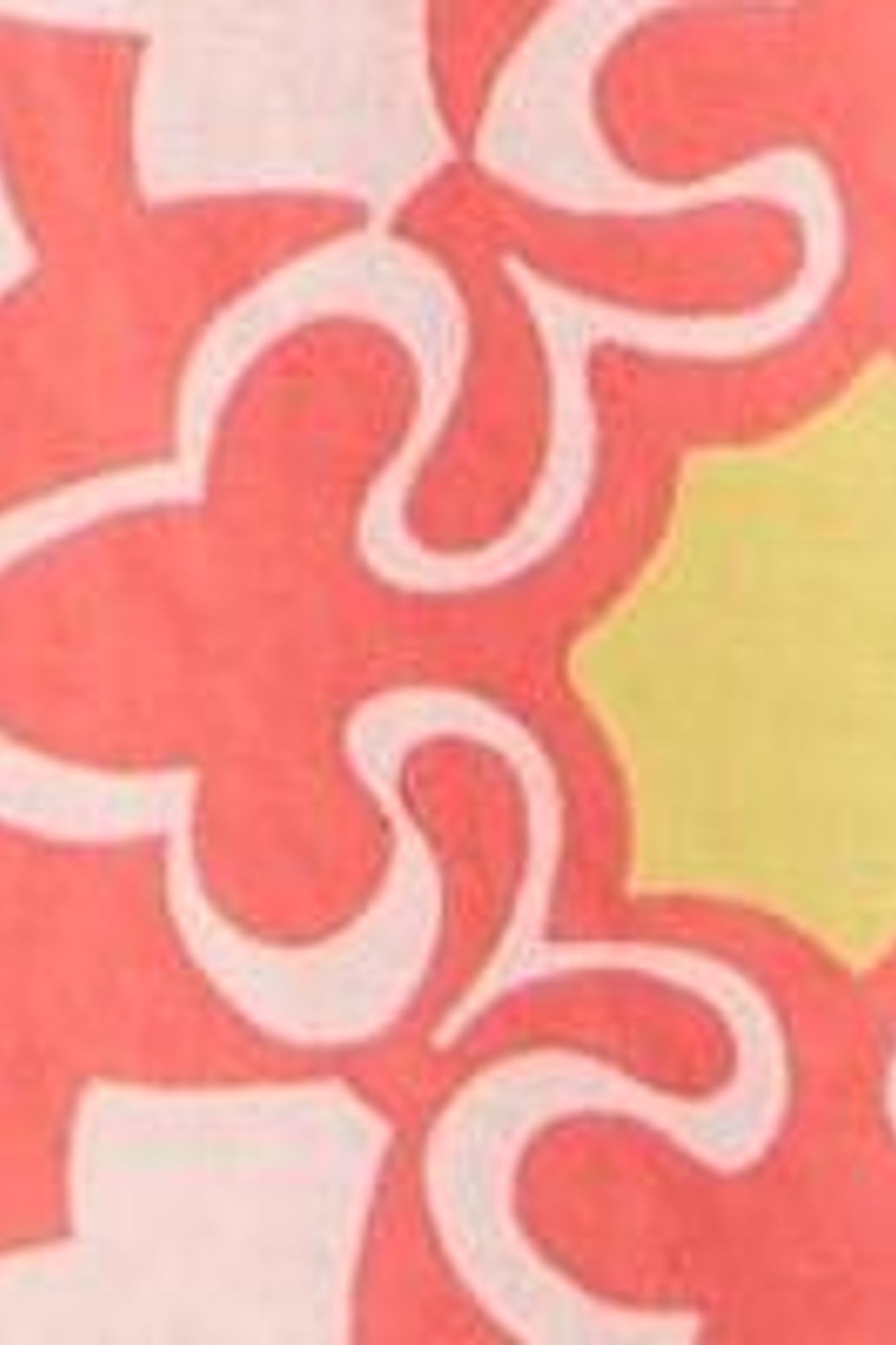 CHELSEA SHIRT DRESS CORAL PRINT 2