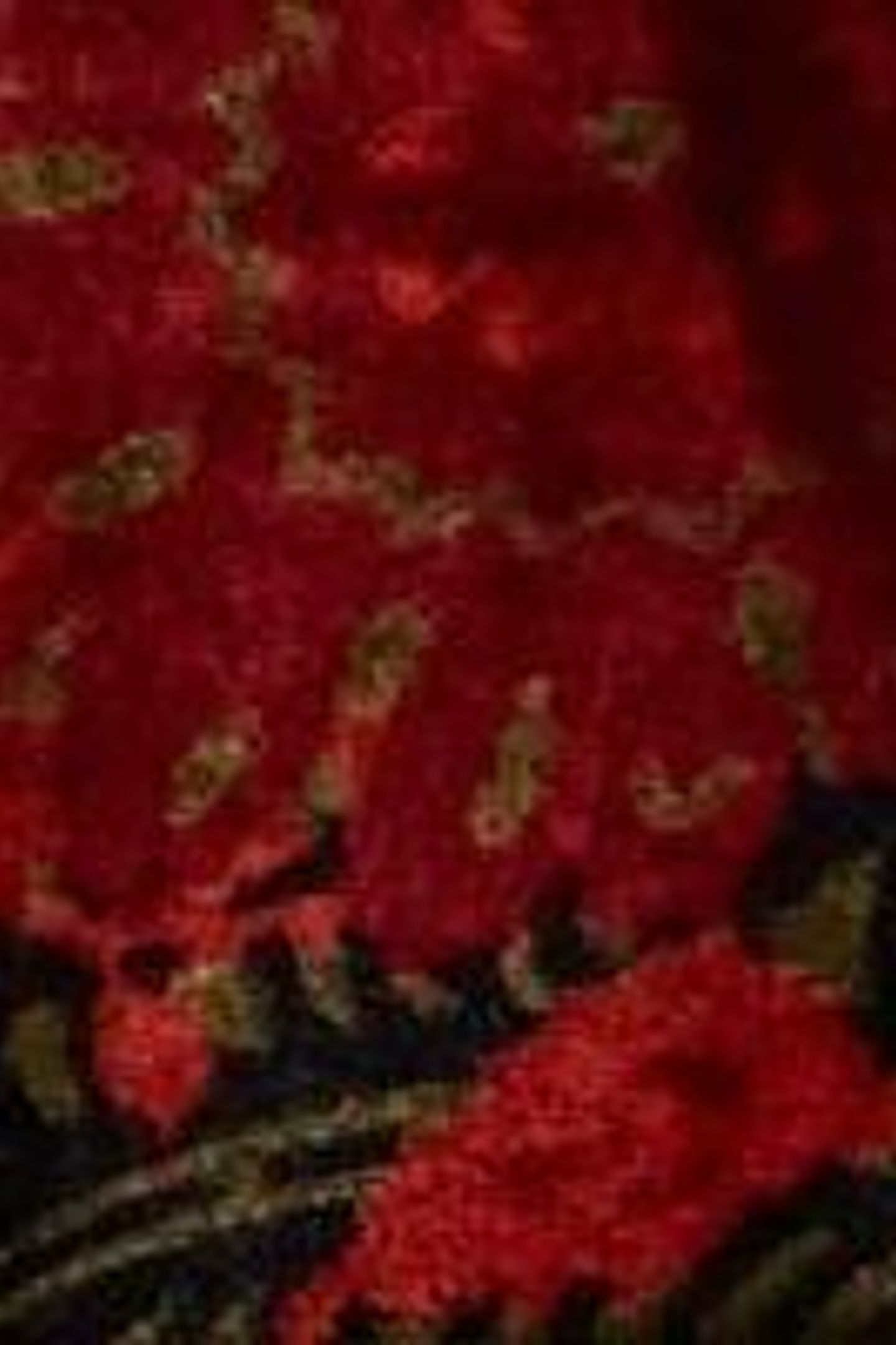 CLEO VELVET MIX DRESS GREEN PRINT 7