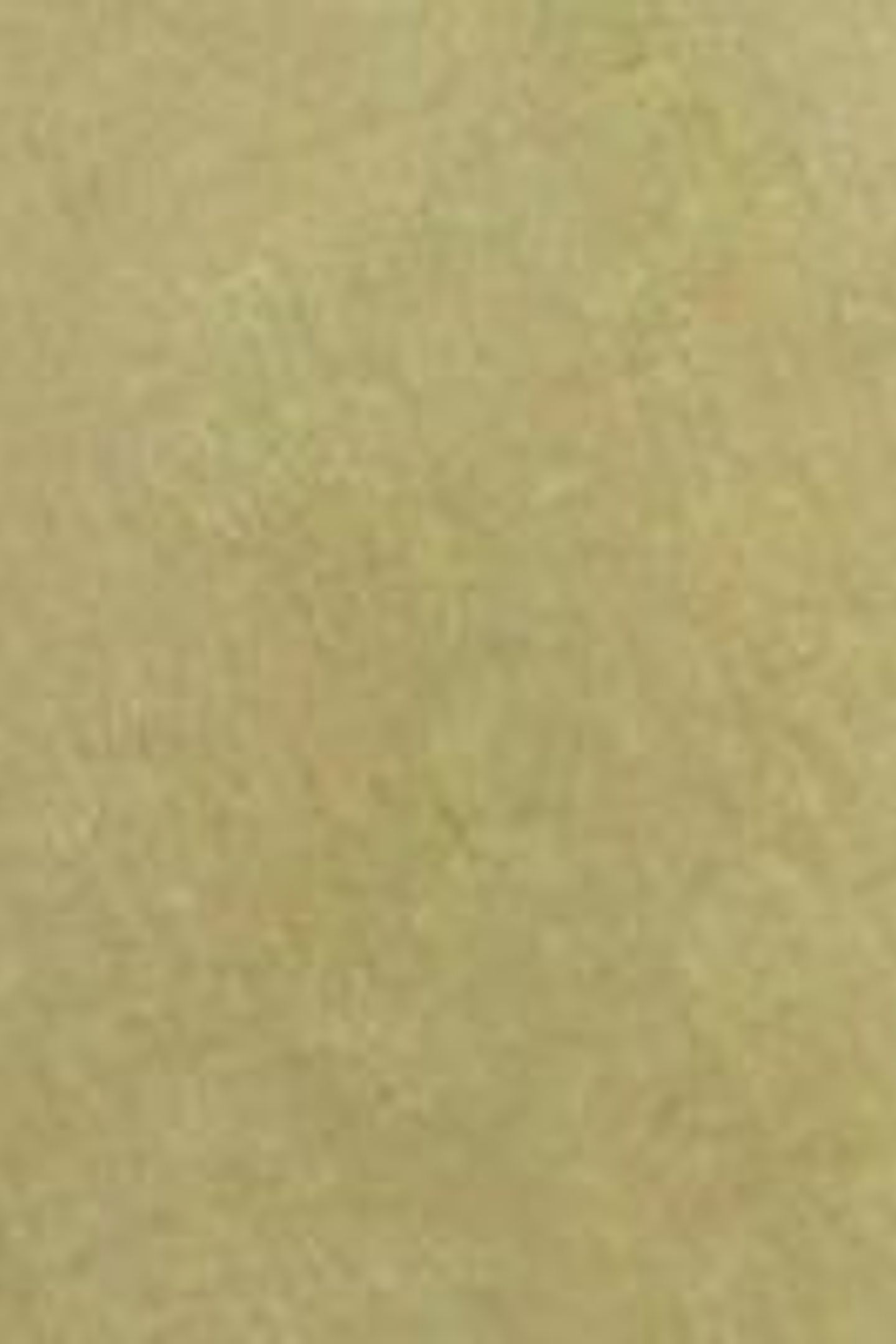 SUTTON ORGANIC CHINO TROUSER LIGHT GREEN 6