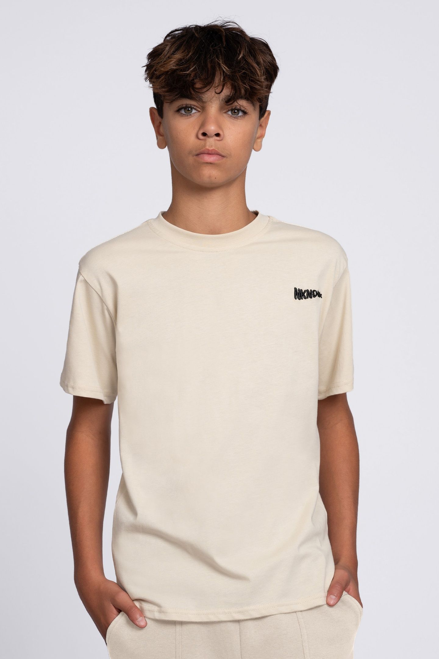AACE T-SHIRT WOOD ASH 1