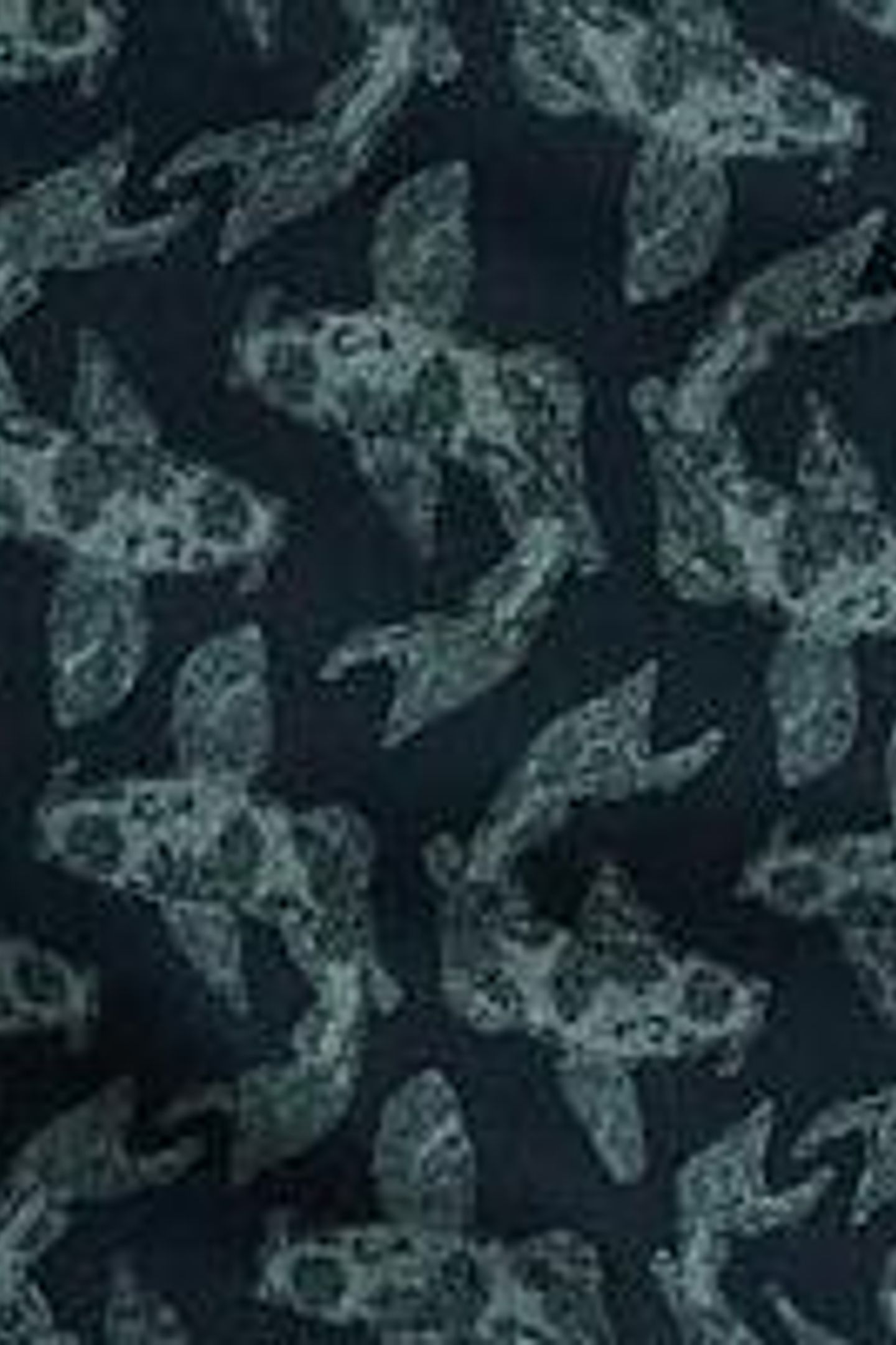 FISH PRINTED CHINO SHORT NAVY PRINT 6