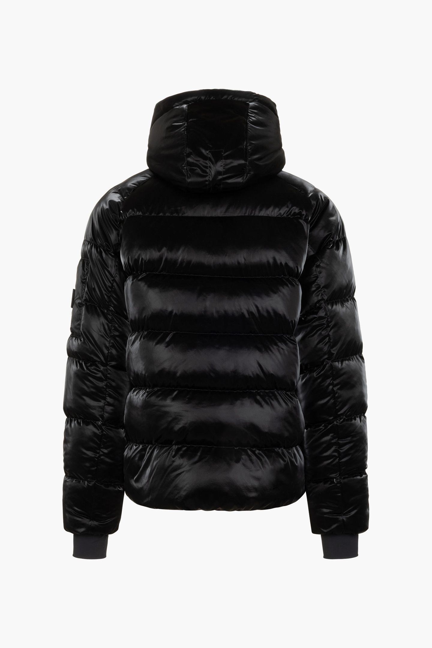 SHINE TRENTINI BLACK 2