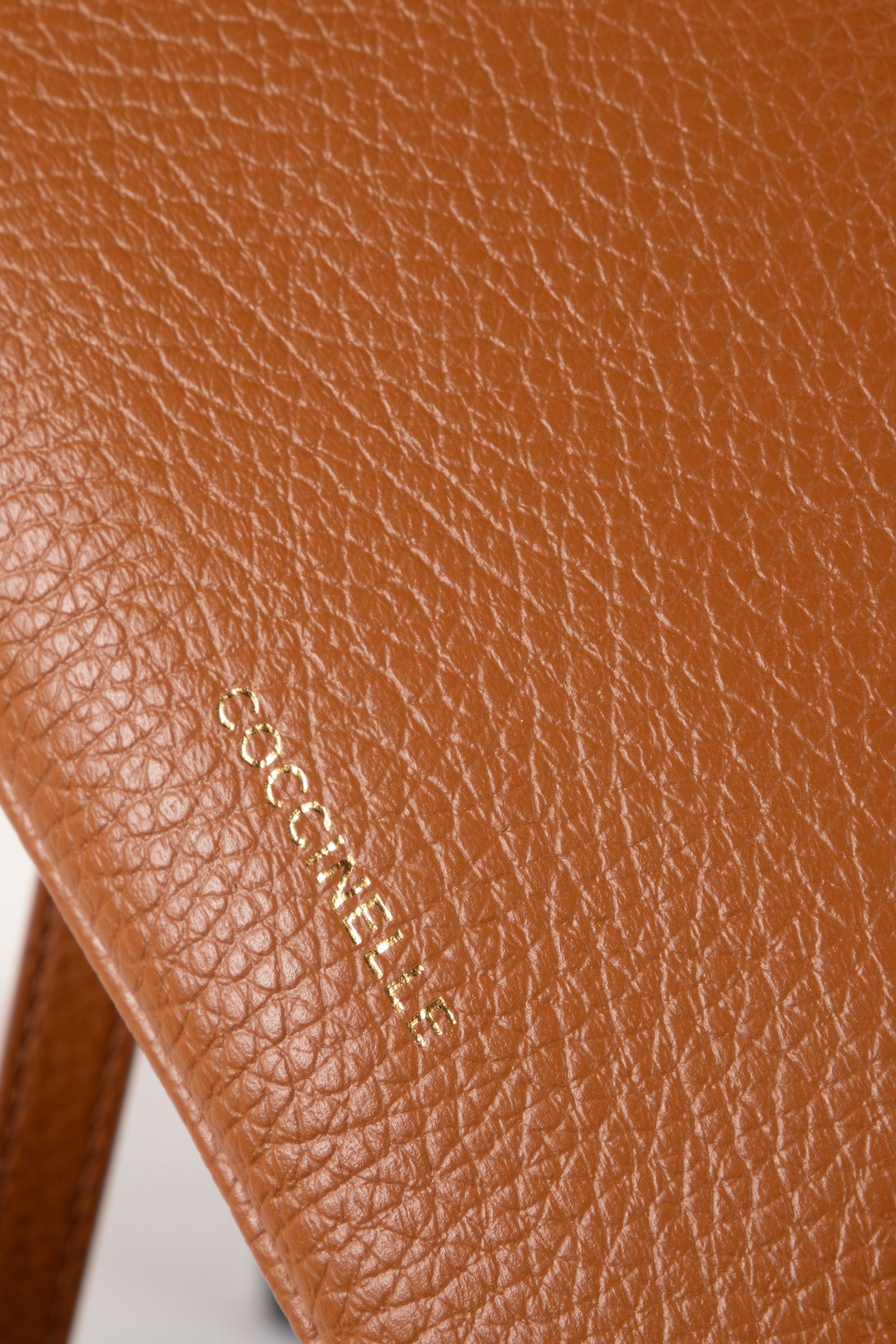 COCCINELLEMAGIE CUIR 4