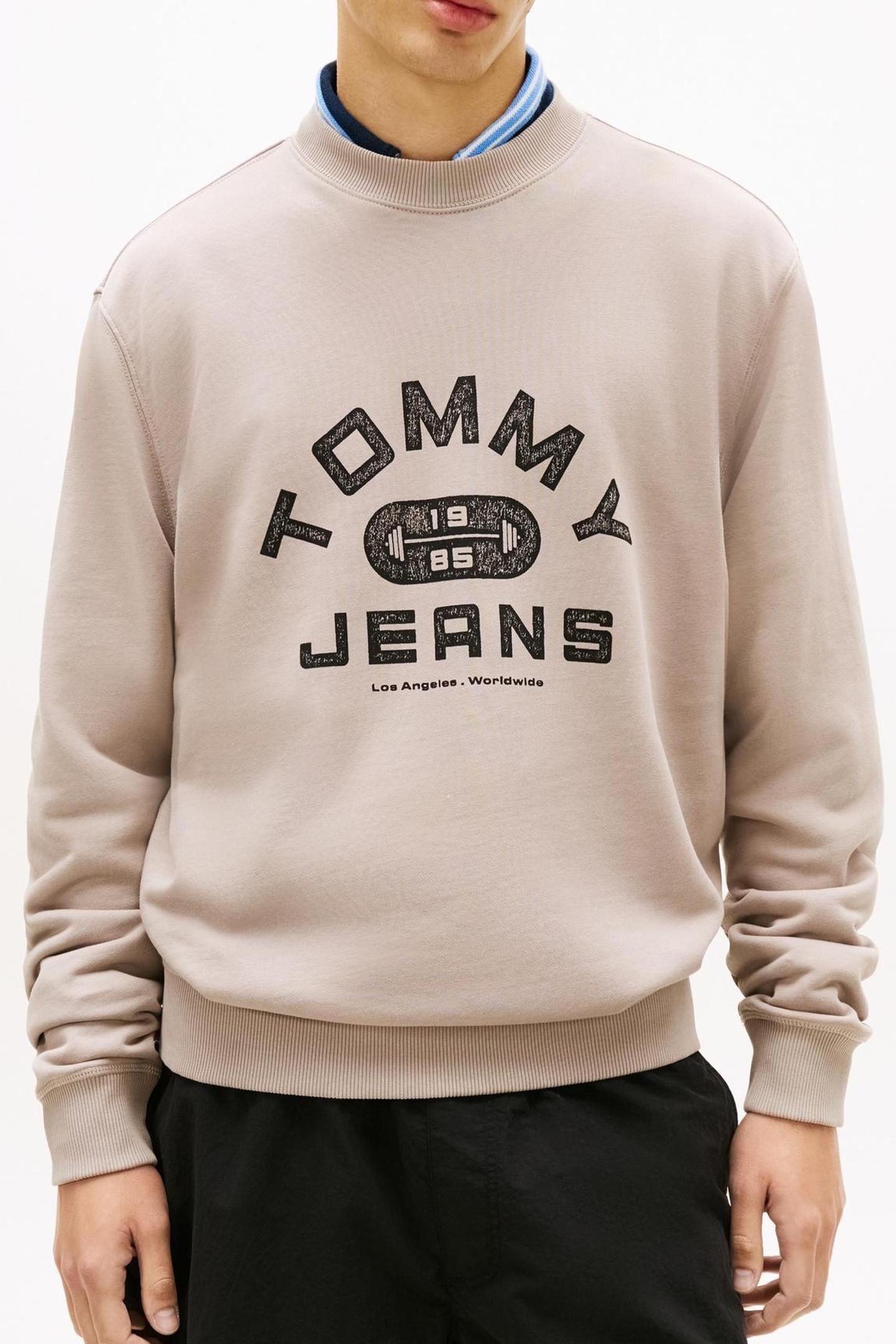 GRAPHIC TERRY CREW NECK SWEATSHIRT LIMESTONE DUST 1