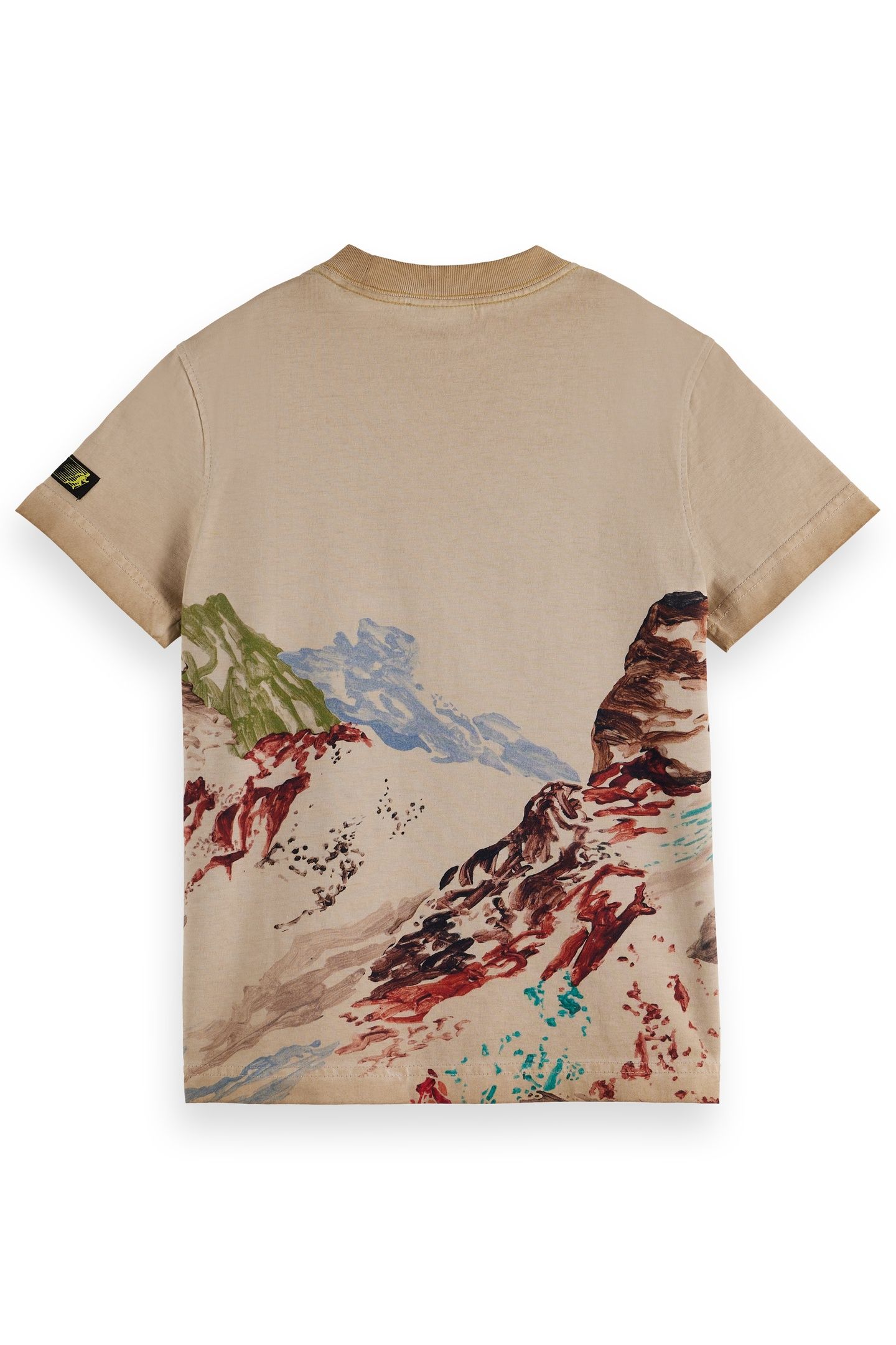 BOYS RELAXED-FIT T-SHIRT WITH PLACED ARTWORK TANNIN 2