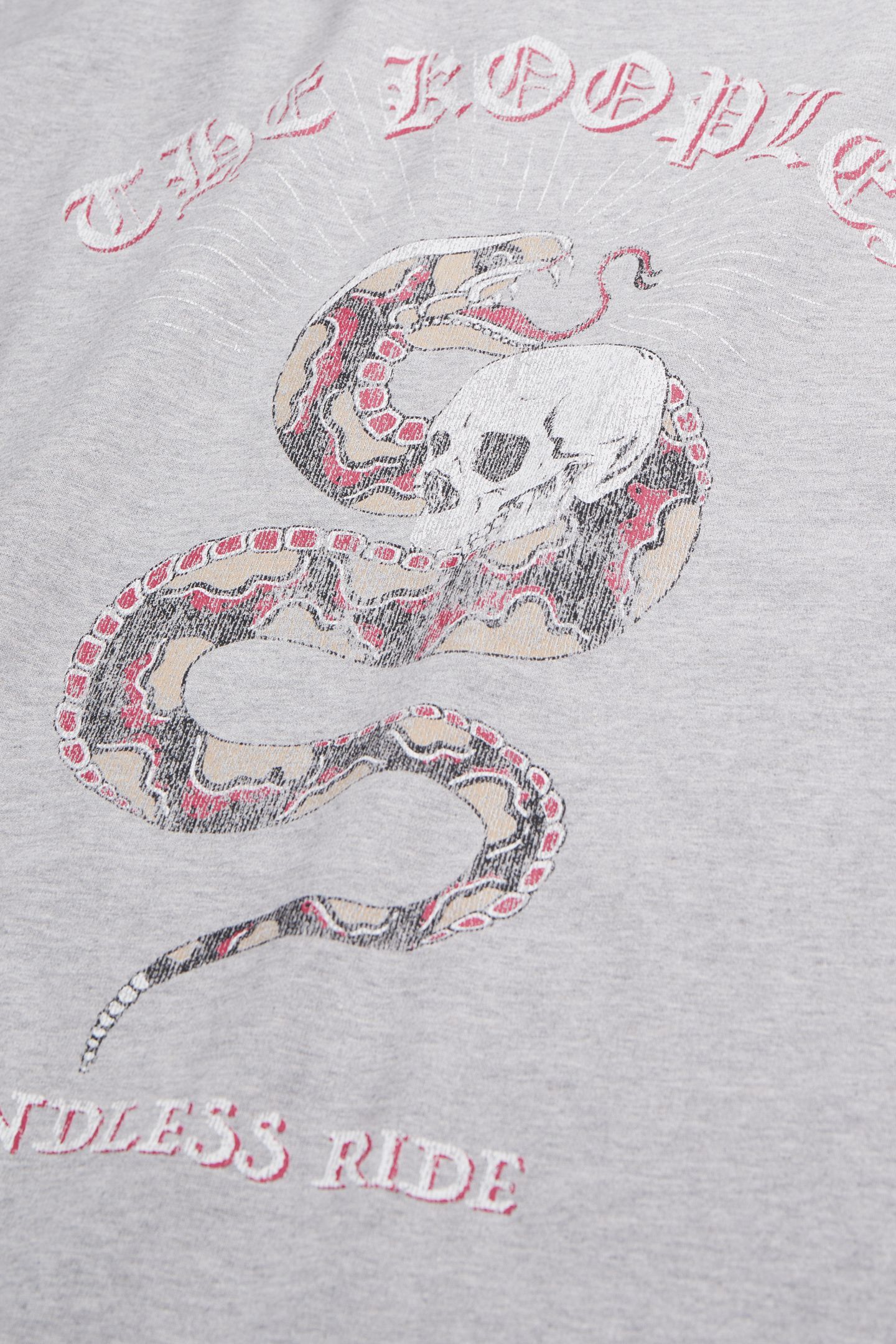 SHORT-SLEEVED T-SHIRT WITH SNAKE PRINT LIGHT GREY CHINE 6