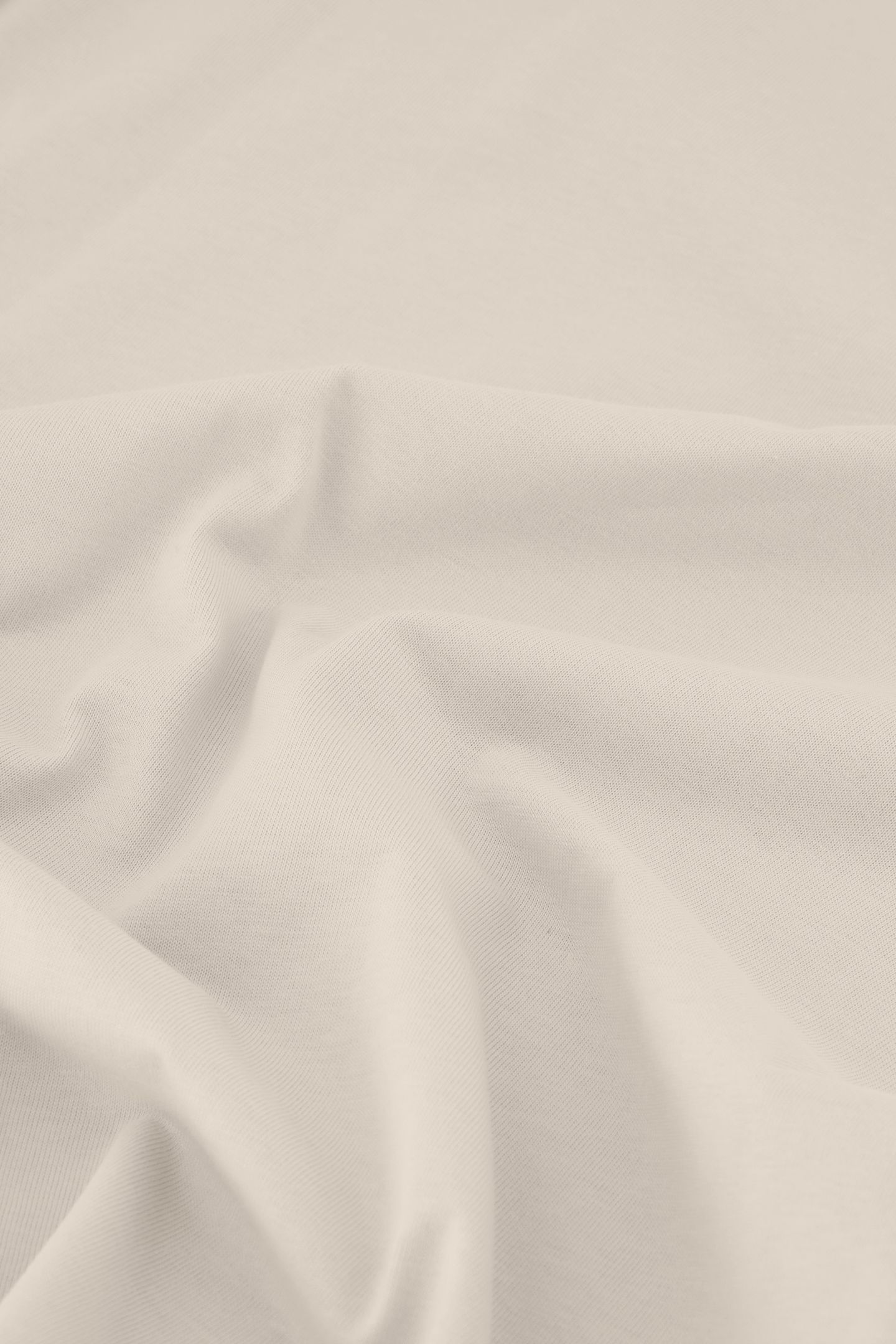 AACE T-SHIRT WOOD ASH 4