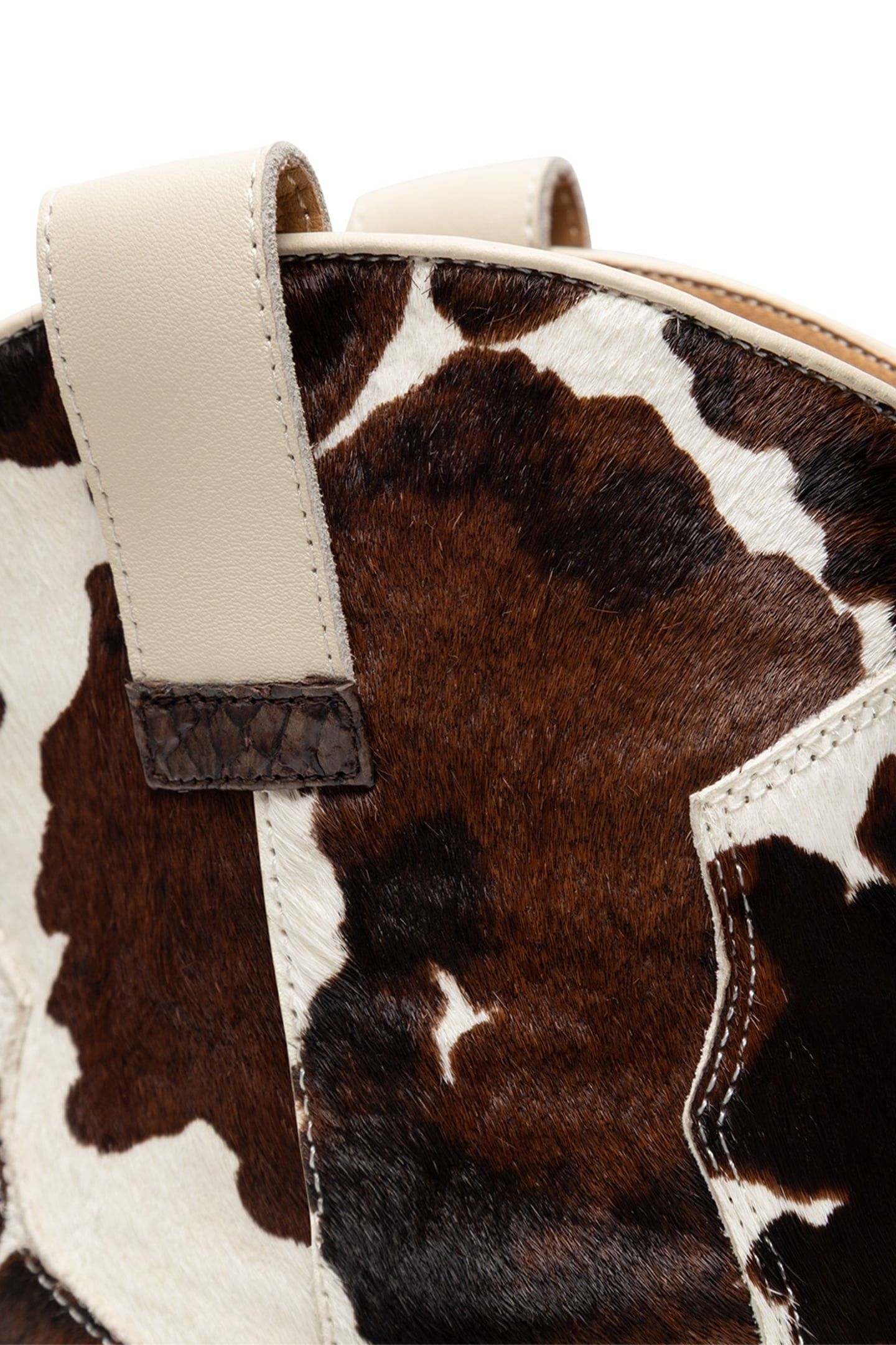 DICTE ANIMAL COW 5