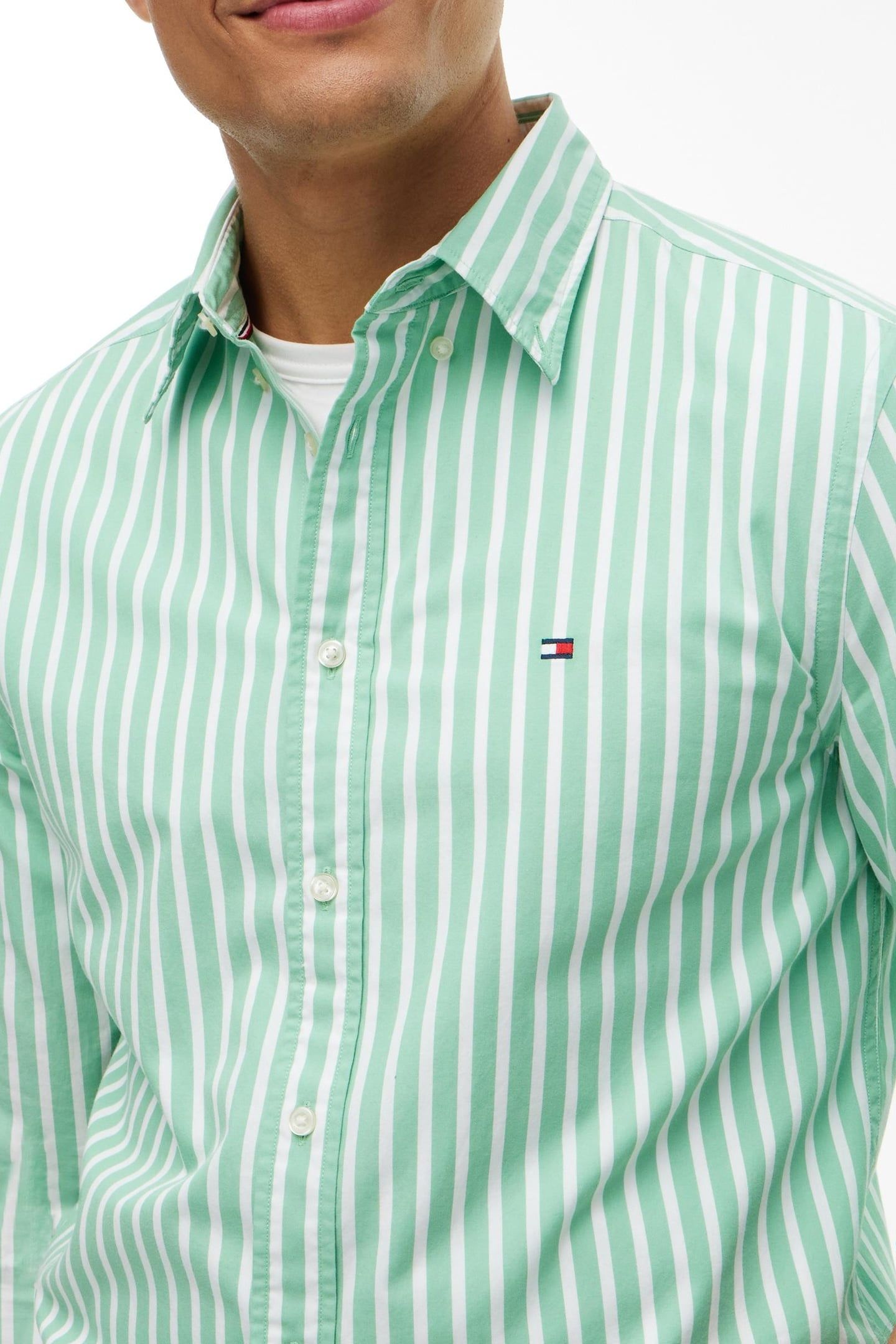 FLEX POPLIN SEASONAL CUT GRASS/STRIPE 5