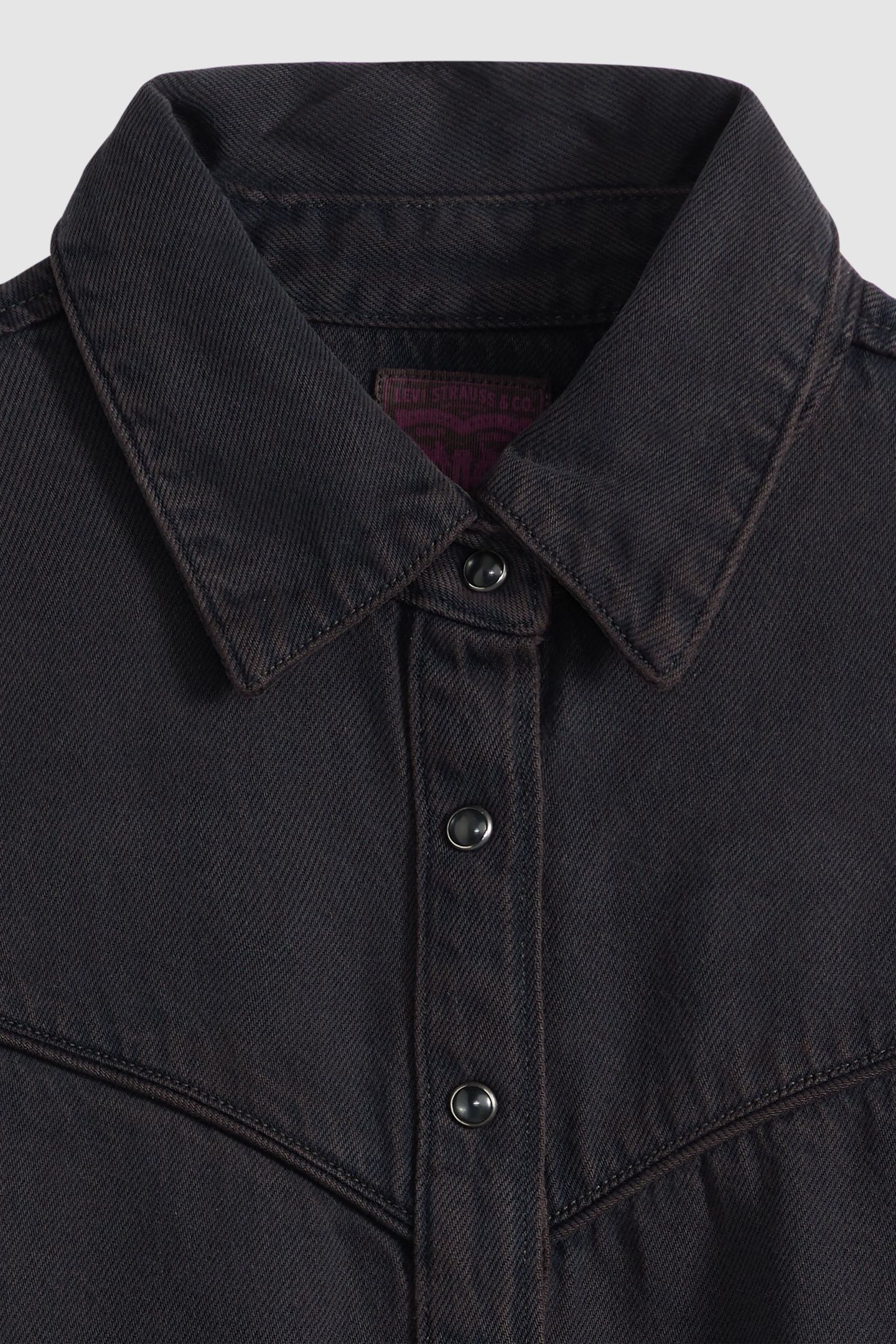 LOGAN SHACKET 6