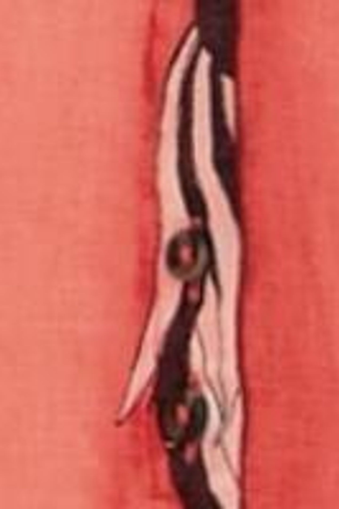 IRIS LINEN DRESS CORAL PRINT 6