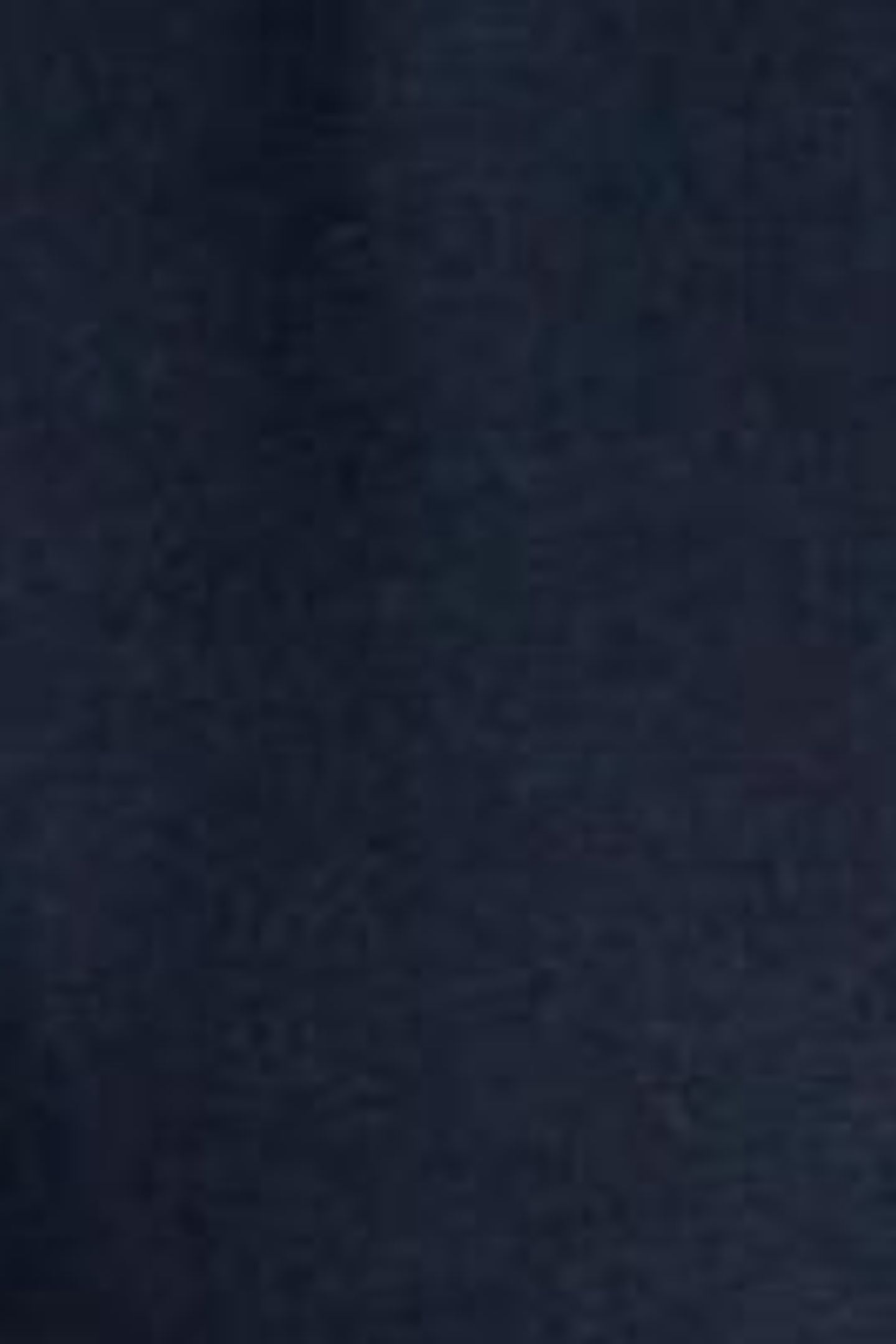 MARIA MIX TUNIC FRENCH NAVY 7