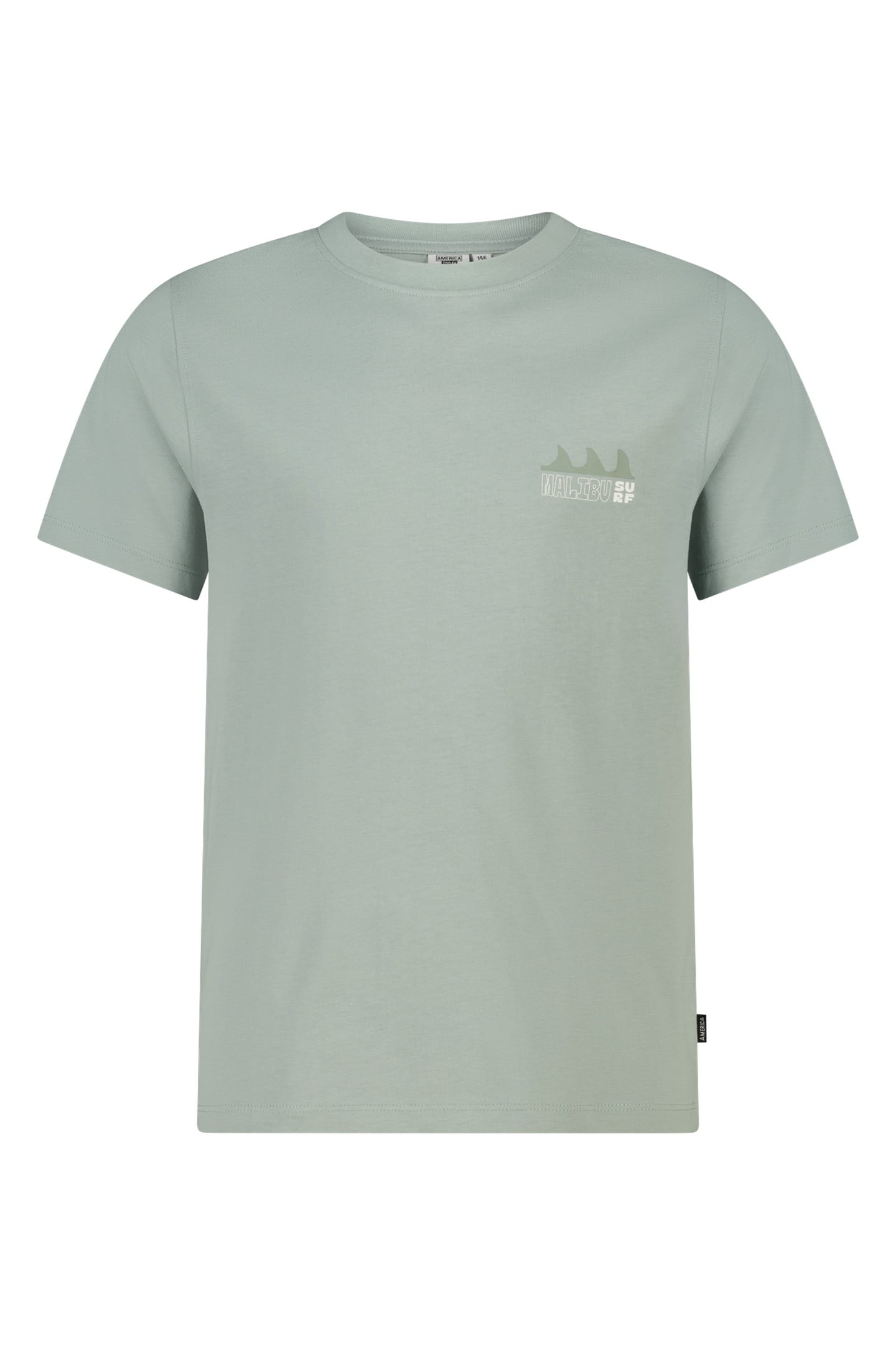 EDSON JR SEA GREEN 3