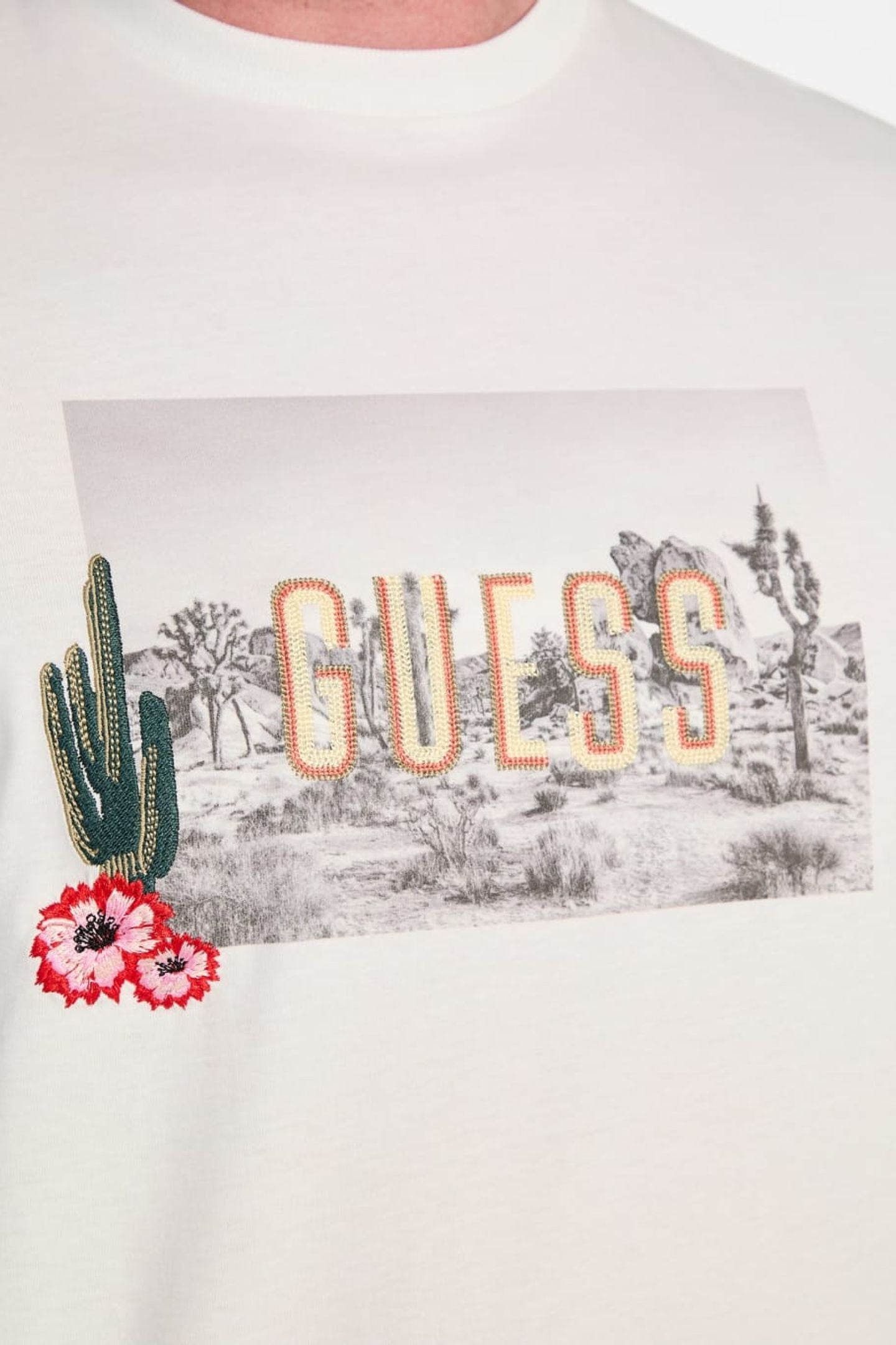SS BSC CACTUS GARDEN SALT WHITE 4