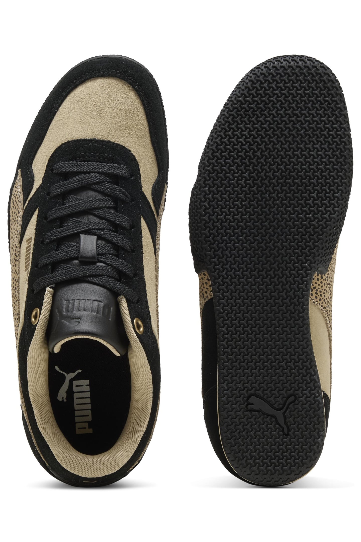 BELLA DONNA SD TOPCAT TOASTED ALMOND-BLACK 5