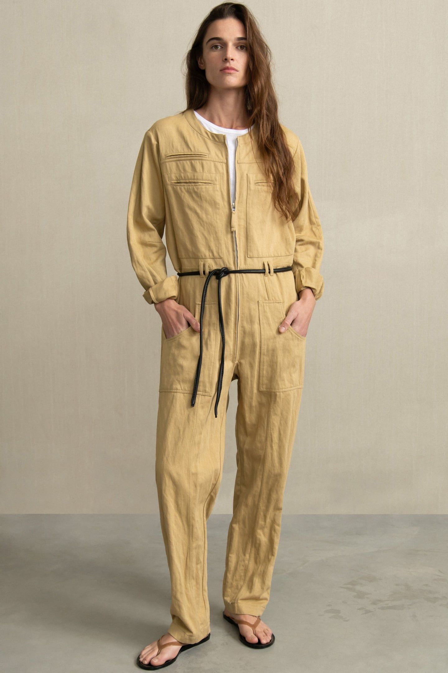HAILY CAMEL 2