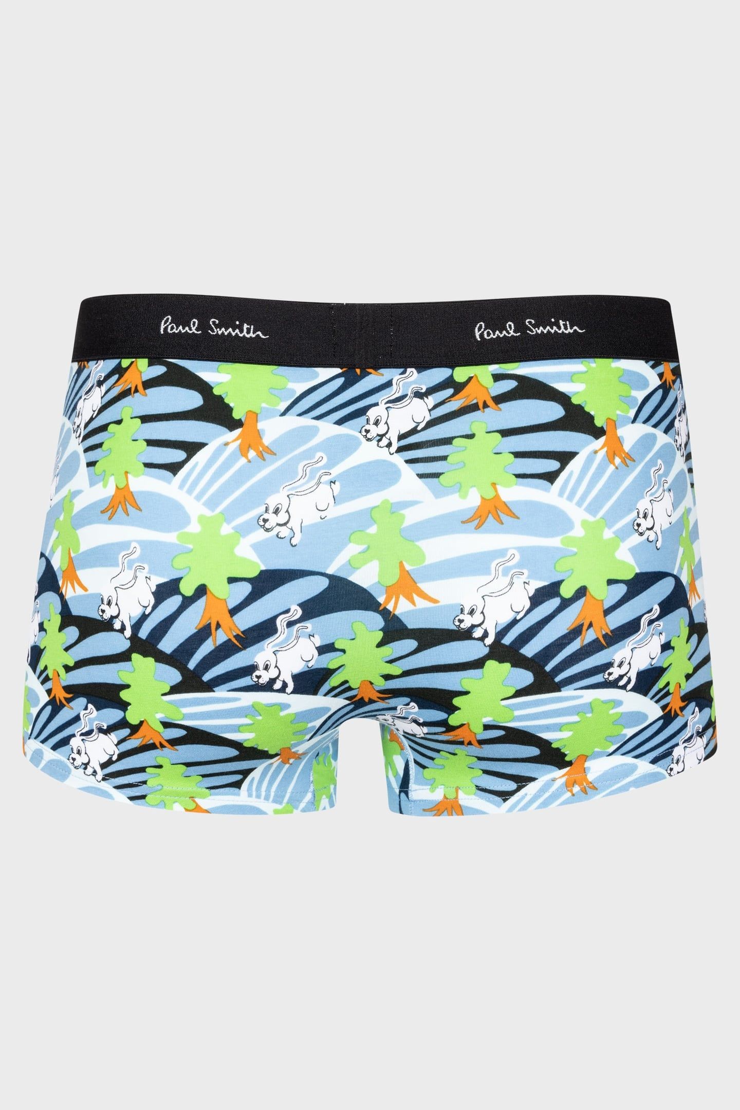 MEN TRUNK RABBIT FIELDS TURQUOISE 2