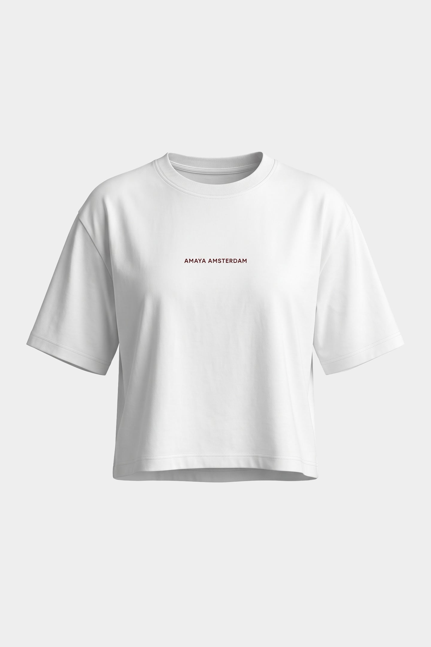 BAILEY T-SHIRT WHITERED 3