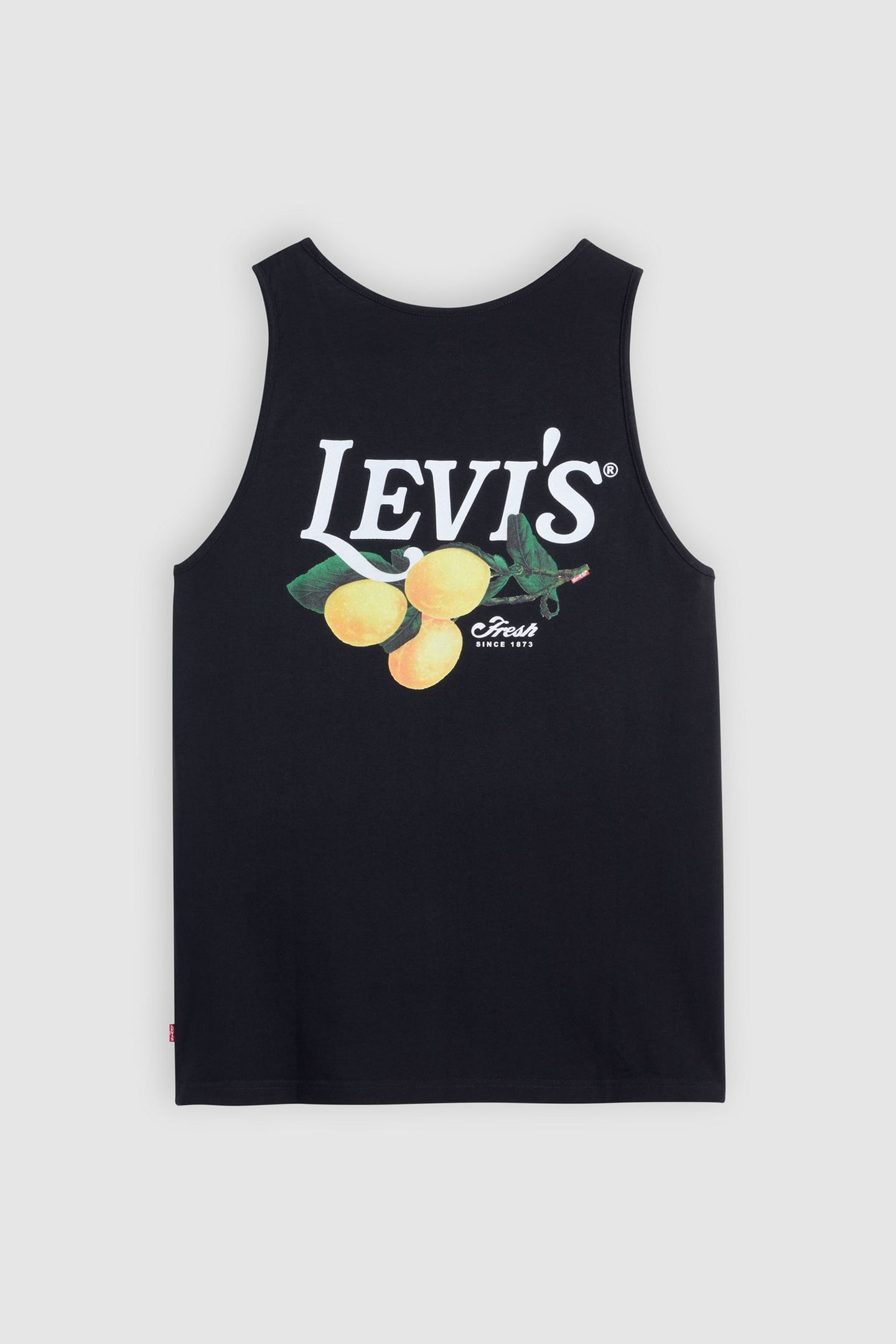 HOUSEMARK TANK TOP 4