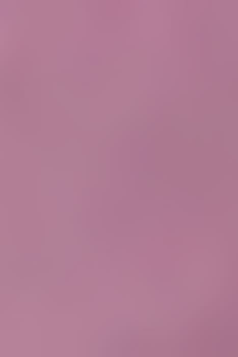 LOLLY LILAC 4