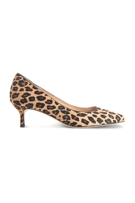 AUDREY NAT LEOPARD 1