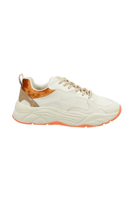 CELEST OFF WHT. MULTI 1
