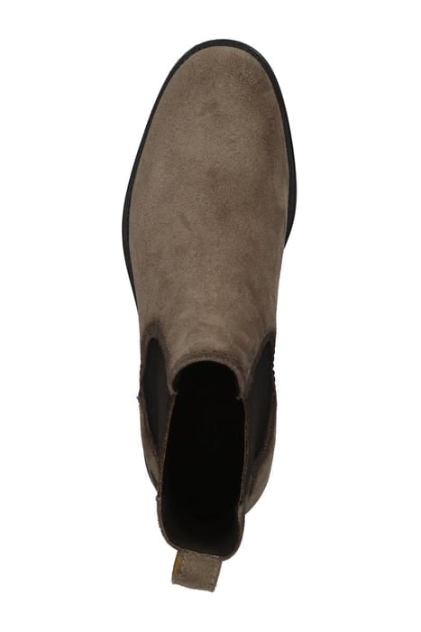 ABBOTT TAUPE 5