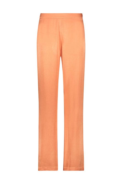 SEARLE VIS 543 CANTALOUPE 1