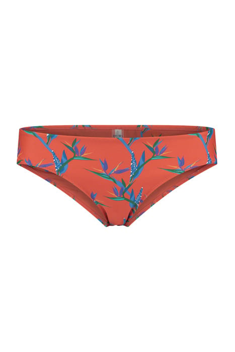 LADIES CRANEFLOWER LOW BRIEF MULTI COLOUR 3