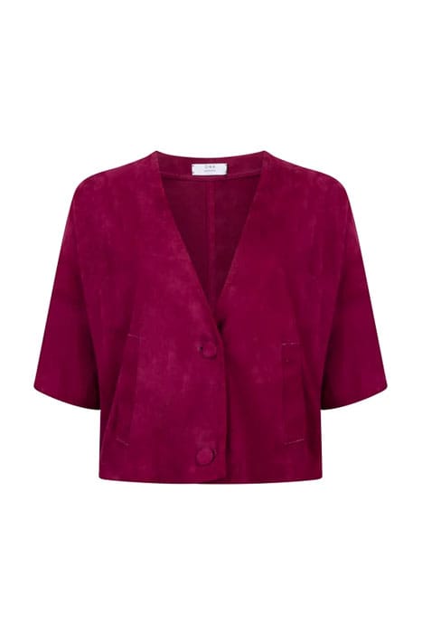 INRAM MAGENTA 1