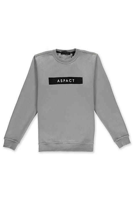 ICONIC CREWNECK 3.0 GREY 1