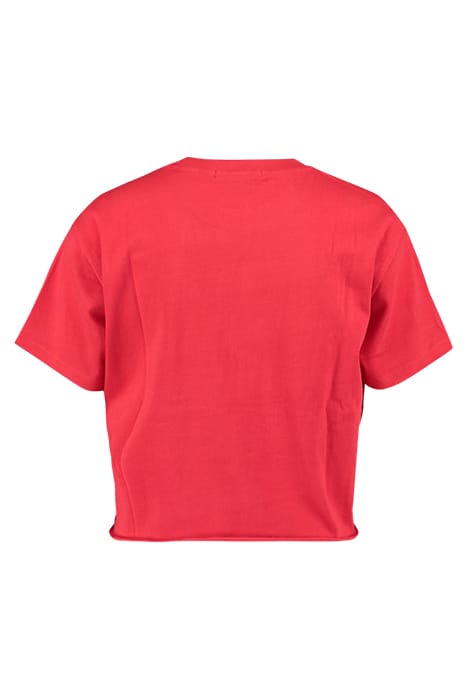 ELVY USA TOMATO 2