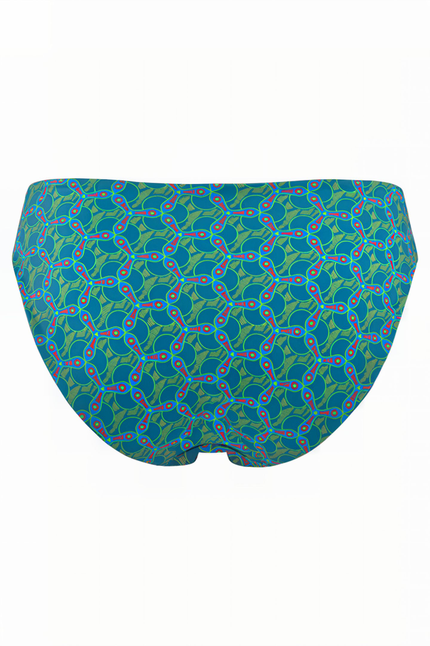 OCEANA LAGOON BLUE AND GREEN BRIEFS 5