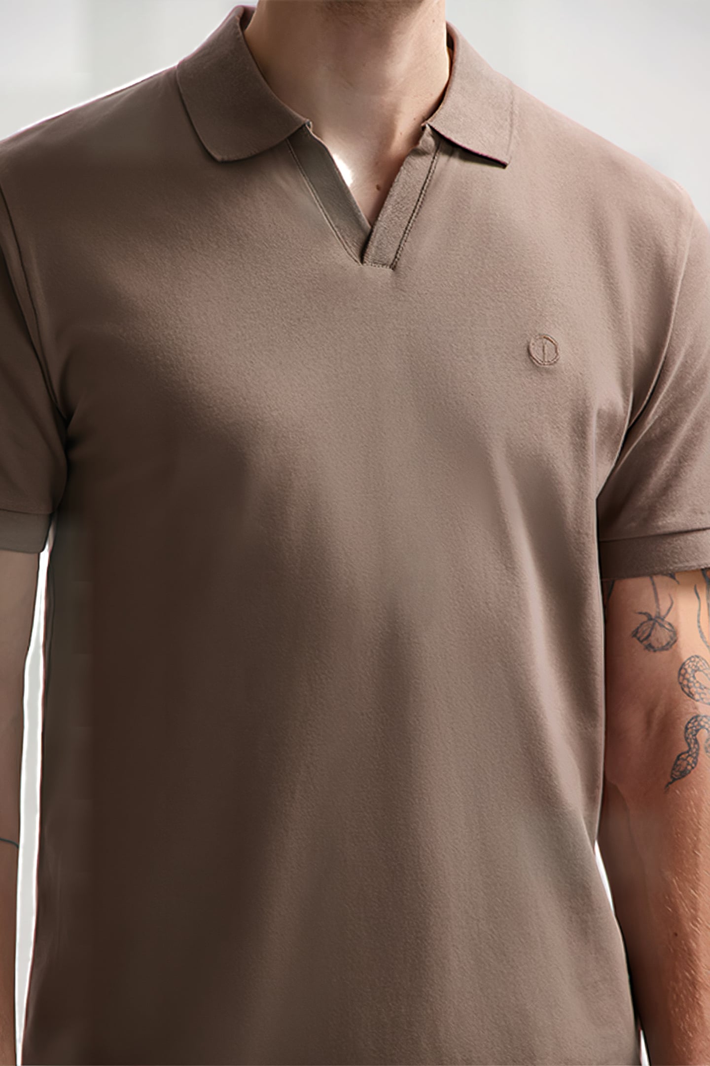 DS_BOWIE V-NECK POLO TIMBER WOLF 4