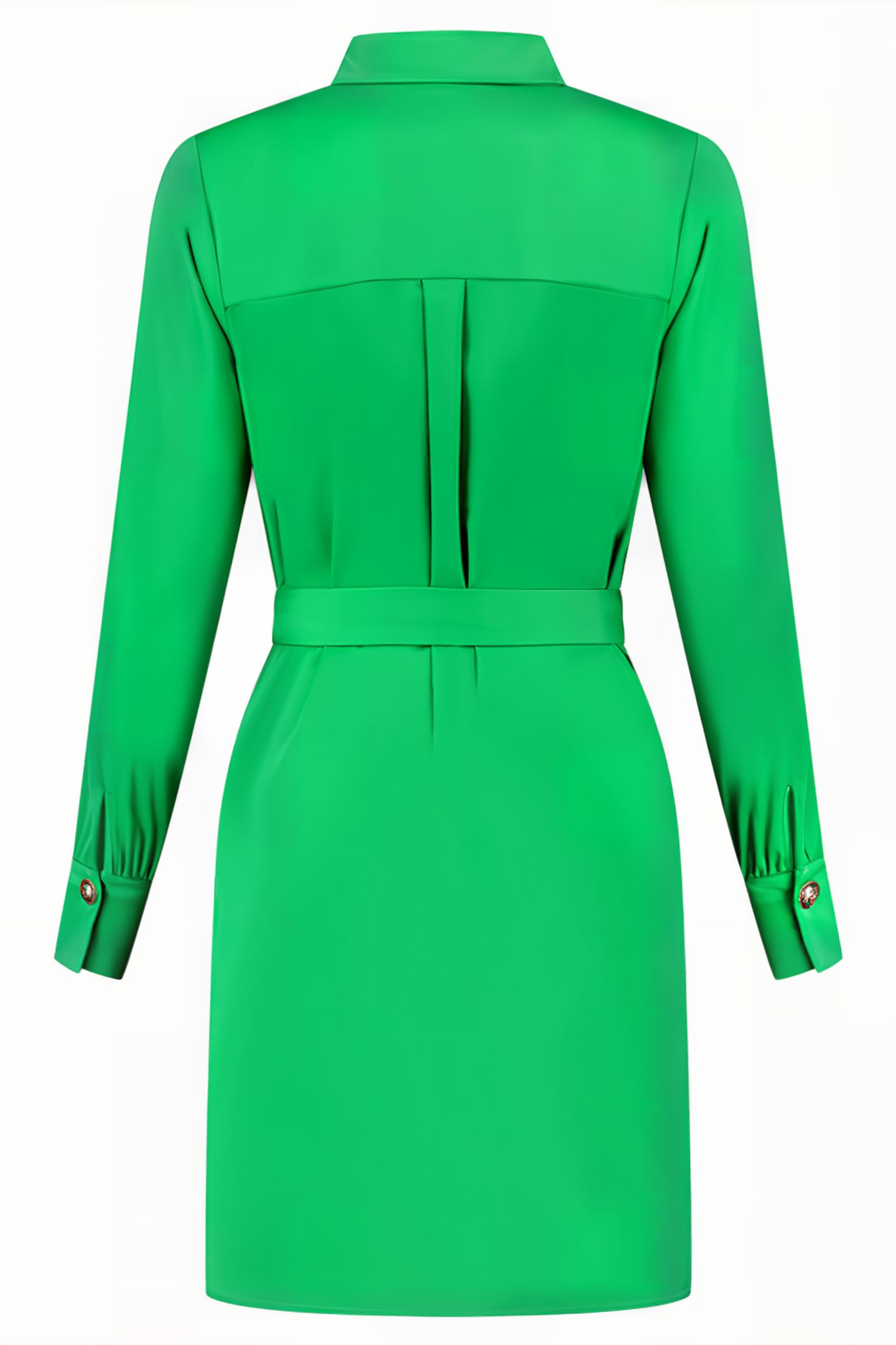 RAFI DRESS FERN GREEN 2