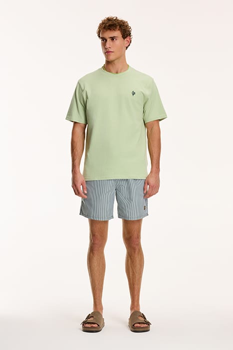 PALM T-SHIRT DUST GREEN 3