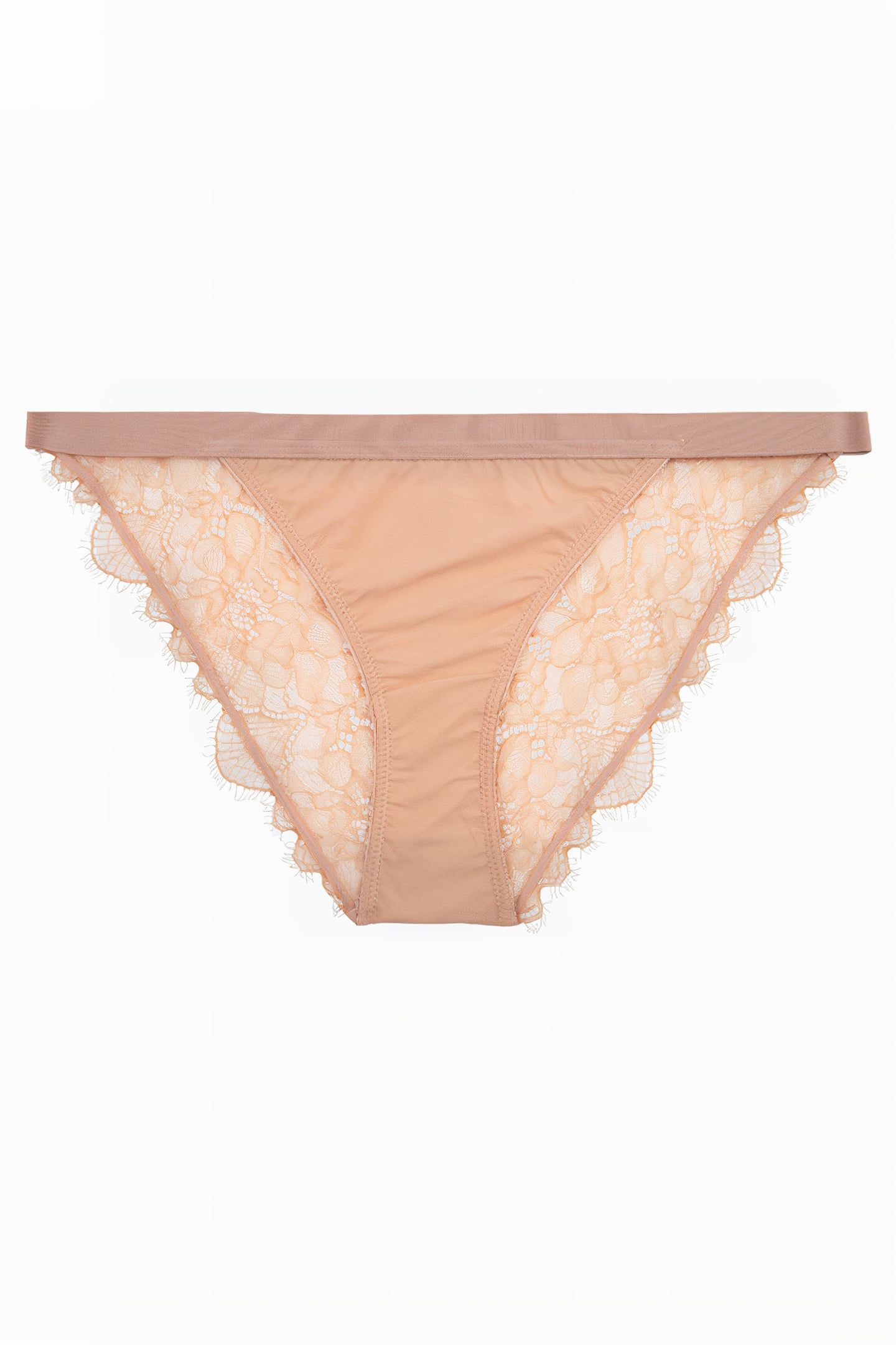 WILD ROSE BRIEF LBROWN 1