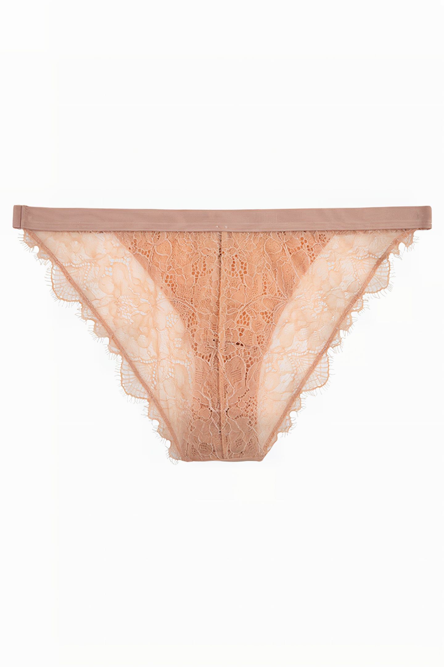 WILD ROSE BRIEF LBROWN 2