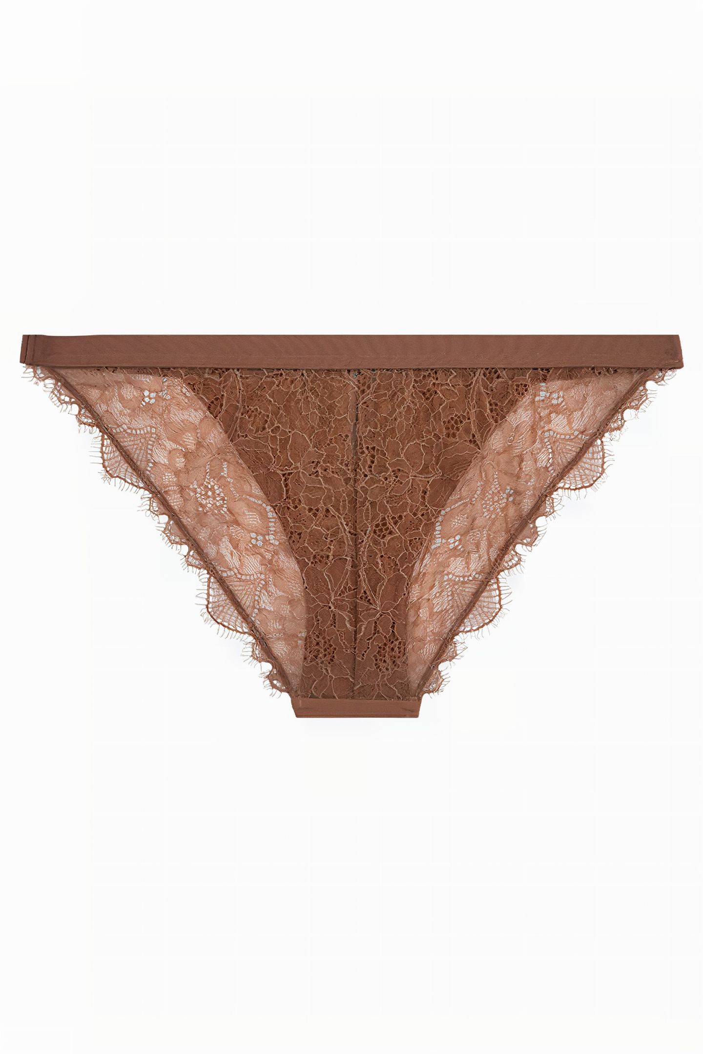 WILD ROSE BRIEF MBROWN 3