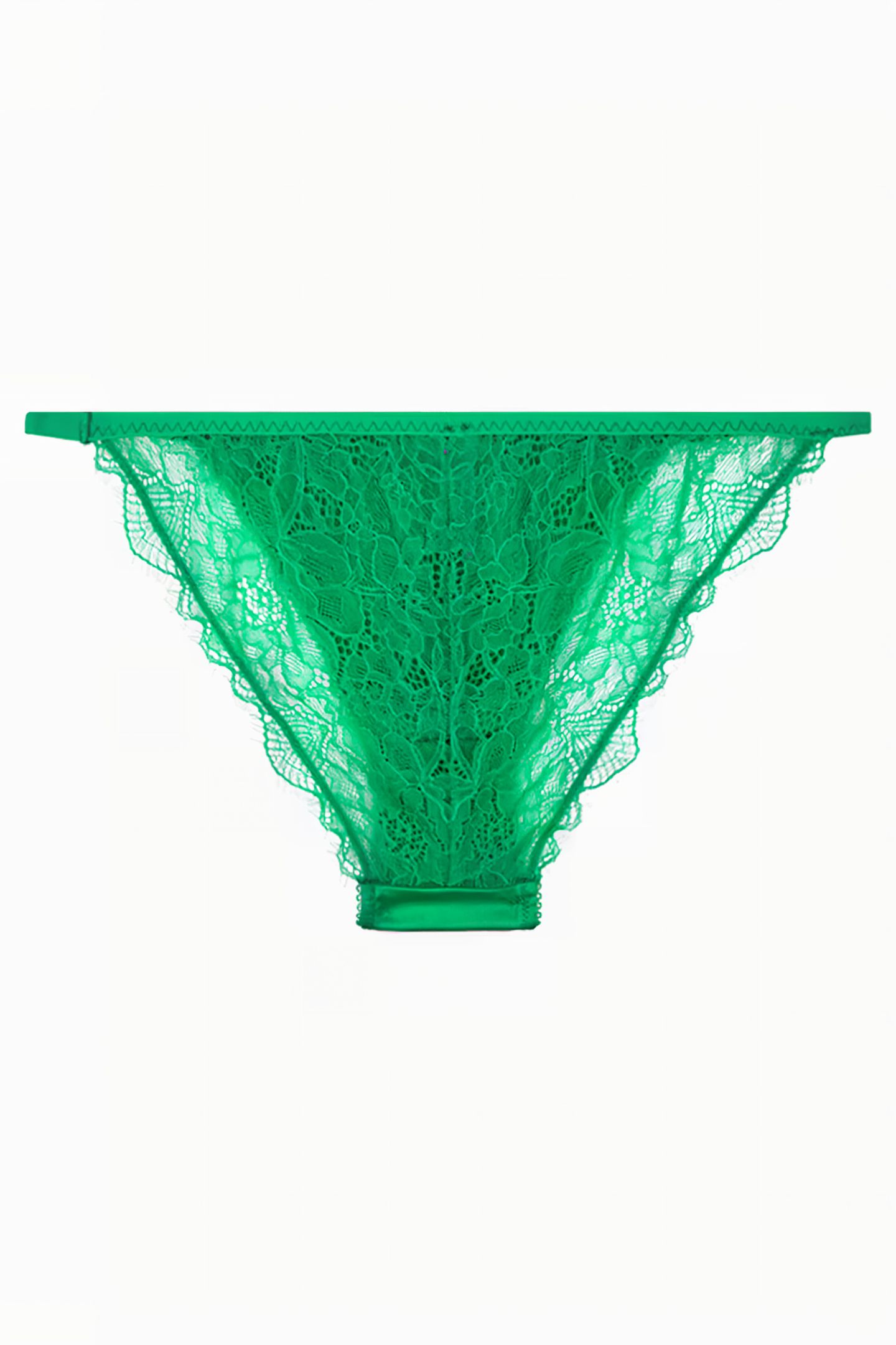 WILD ROSE BRIEF GREEN 2
