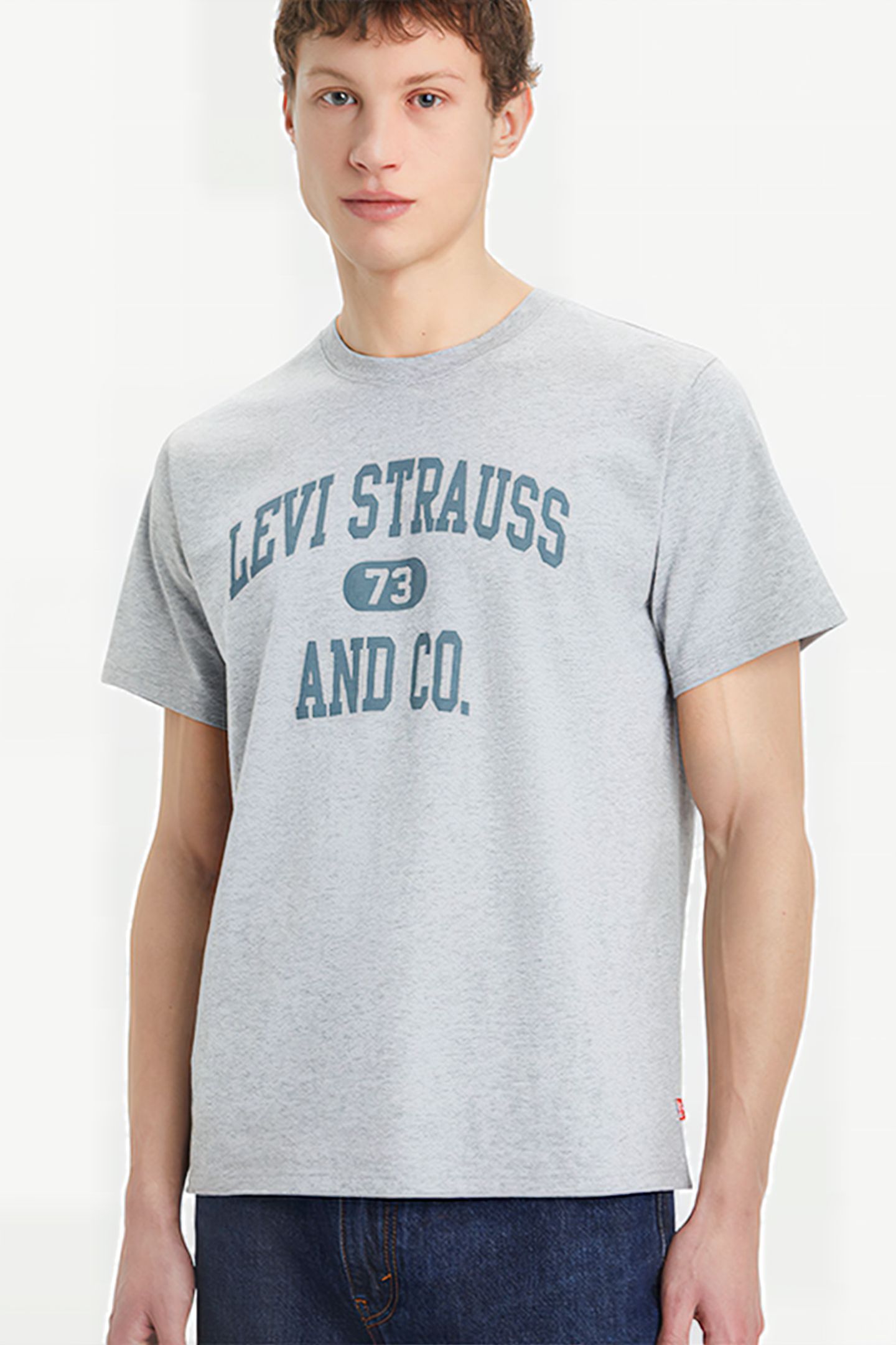 SS PRINTED T-SHIRT GREY 4