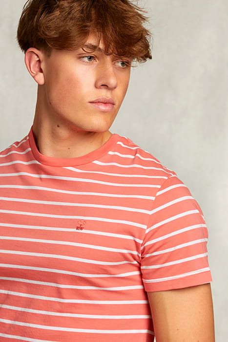 CUSTOM FIT STRIPED T-SHIRT BELLINI PINK 4
