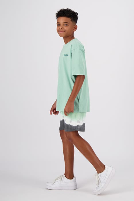 BOYS NAZARE SHORTS BRIGHT MINT 5