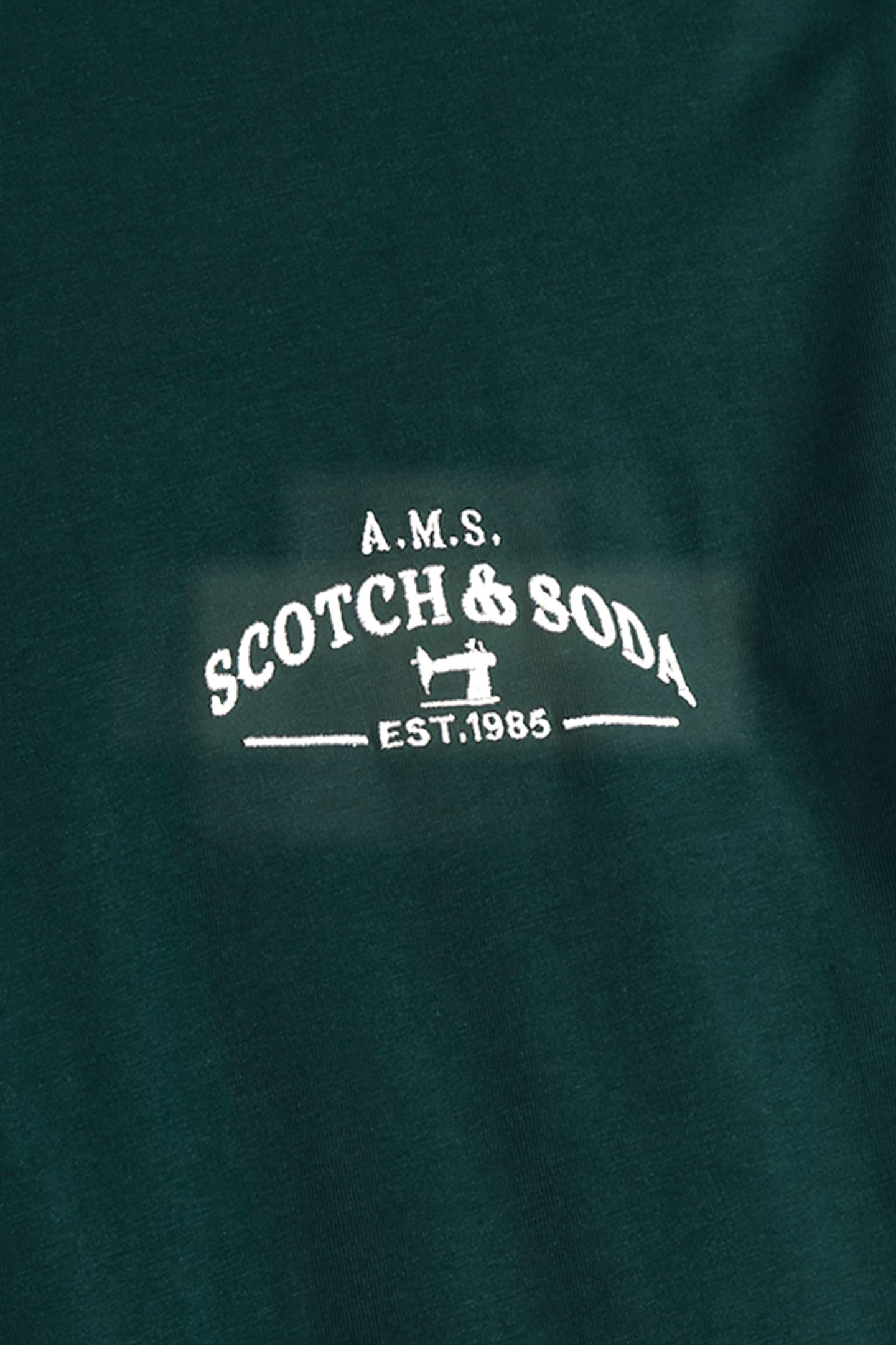 SS GRAPHIC TEE - 15 CYPRESS GREEN 3