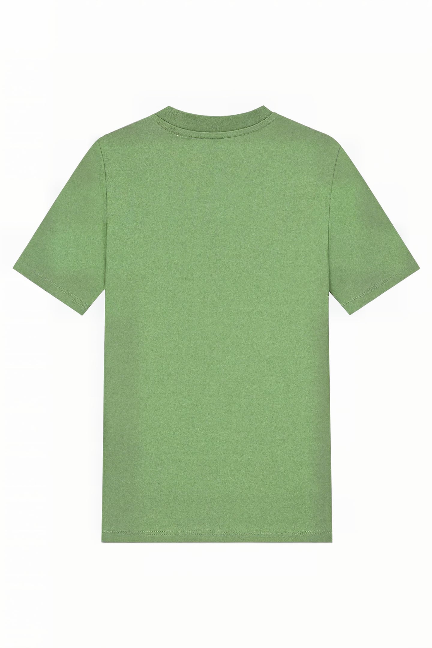 ARTHUR T-SHIRT FERN GREEN 2